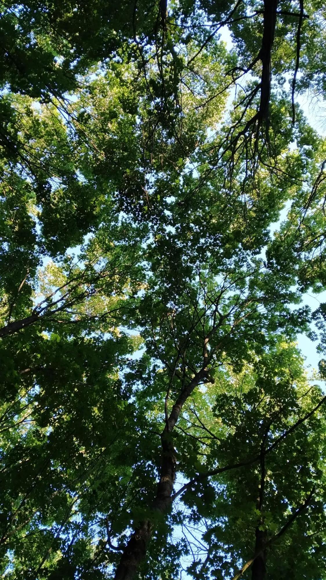 64a1b3bbf5e0476635d4531d.jpg?width=2000&