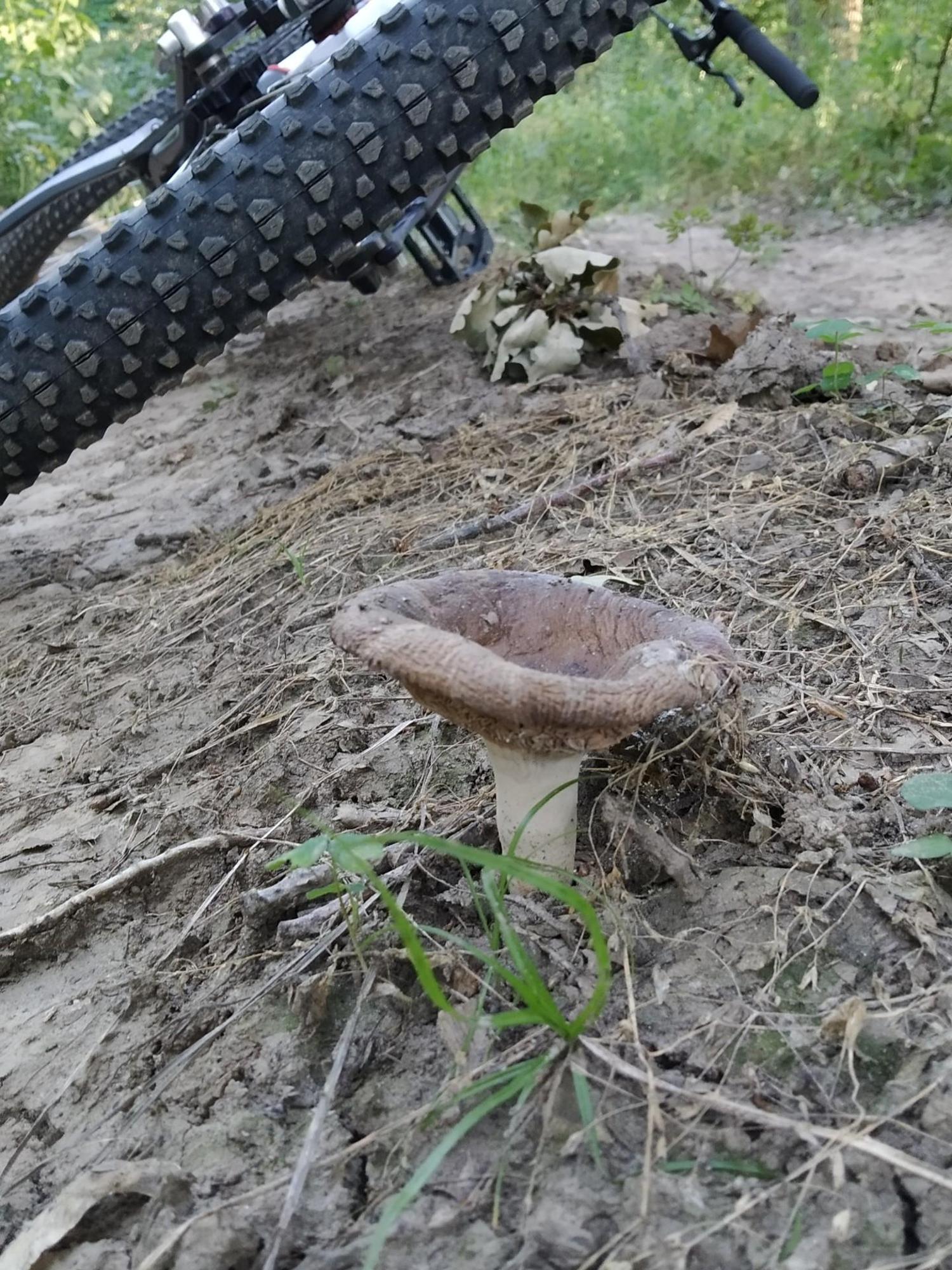 64a1c171efd10628166c465f.jpg?width=2000&