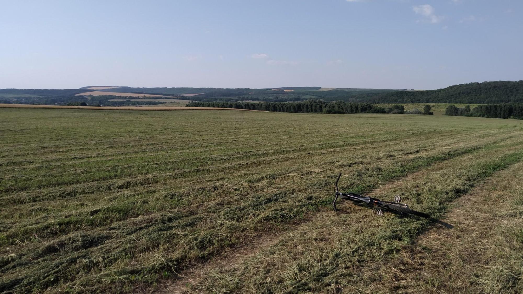 64aade714c34d42fab631553.jpg?width=2000&