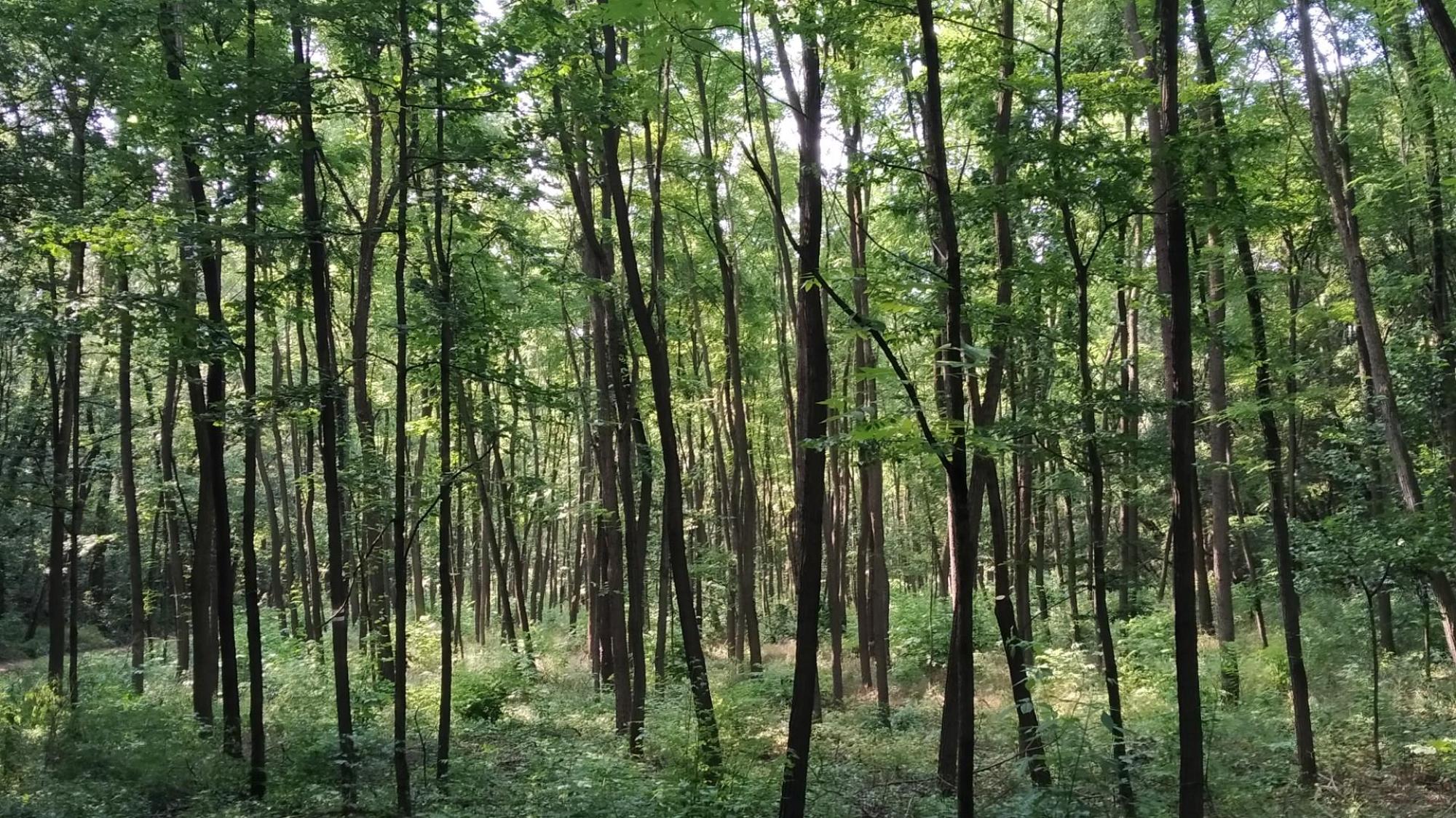 64aade98730394379758e4bb.jpg?width=2000&