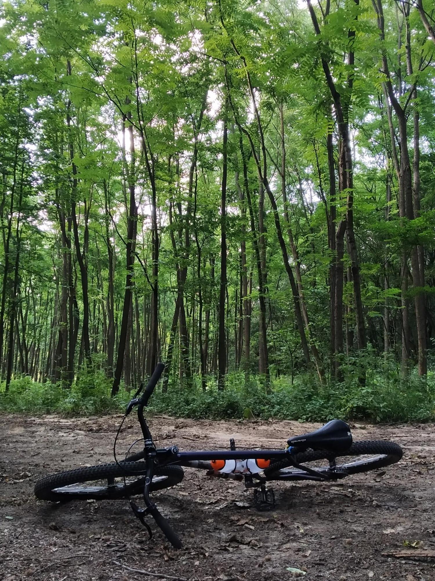 64aadea24c34d42fab63171e.jpg?width=2000&