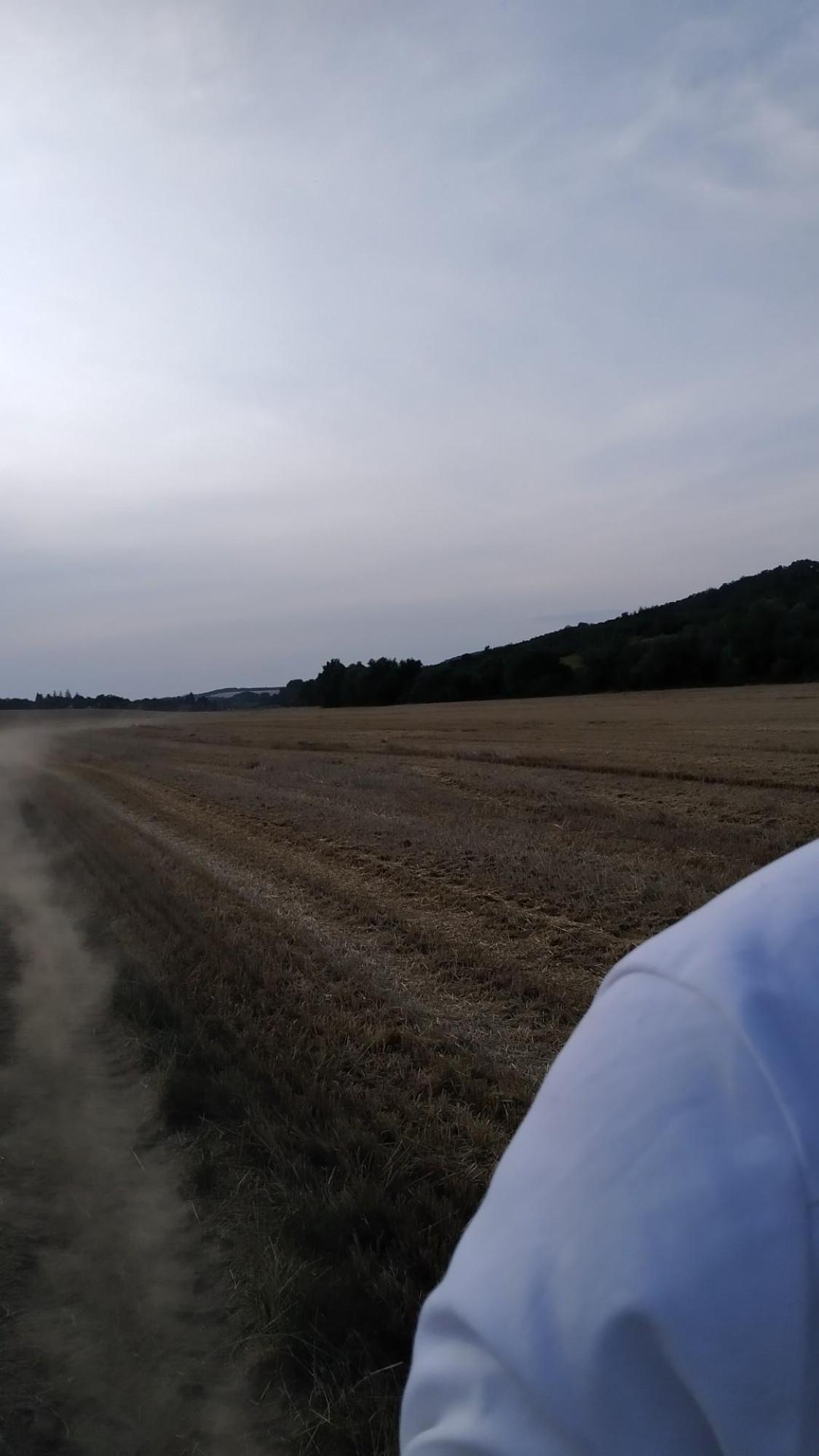 64b6d5b4c2332751d00b314b.jpg?width=2000&