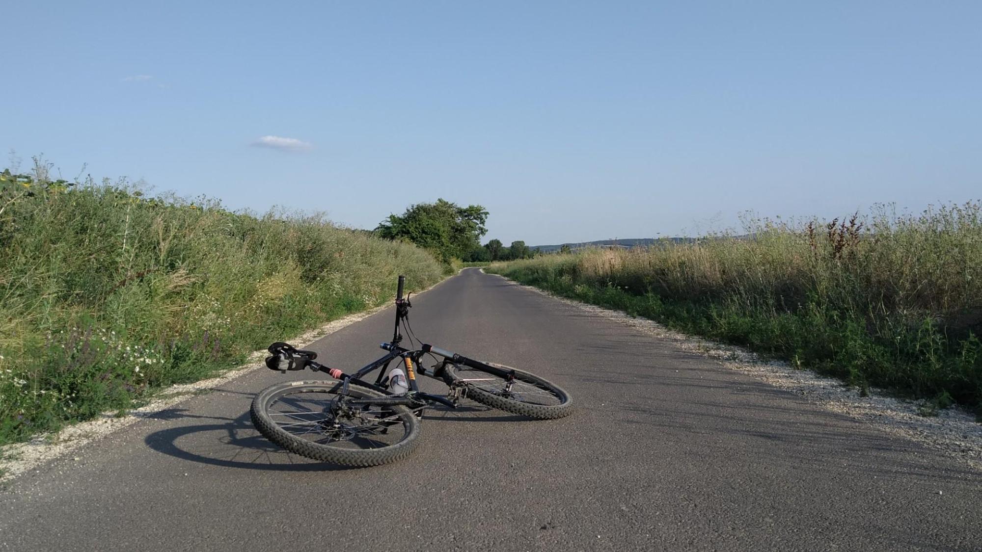 64b9750e9d197b5871aecbaf.jpg?width=2000&