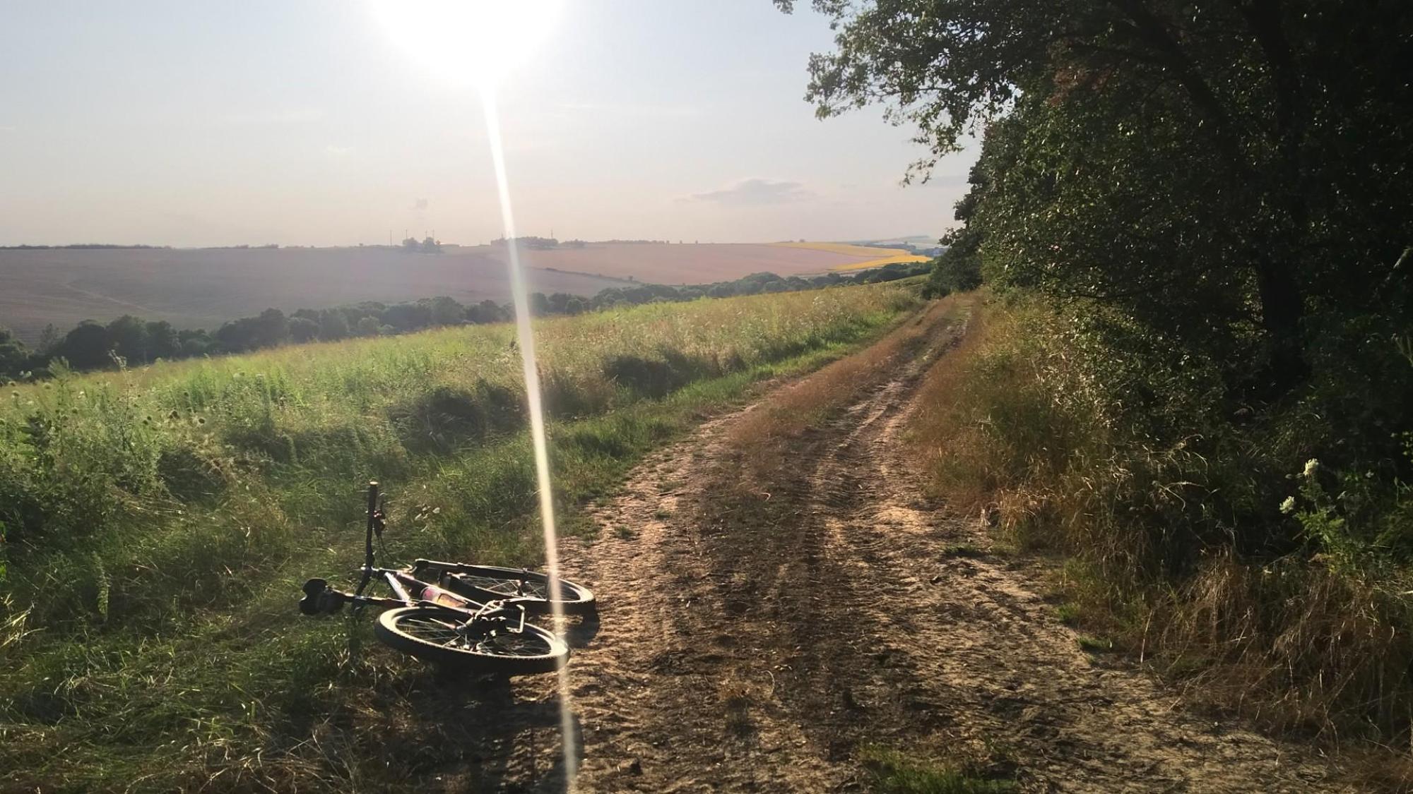 64b97512f15658200b68f951.jpg?width=2000&