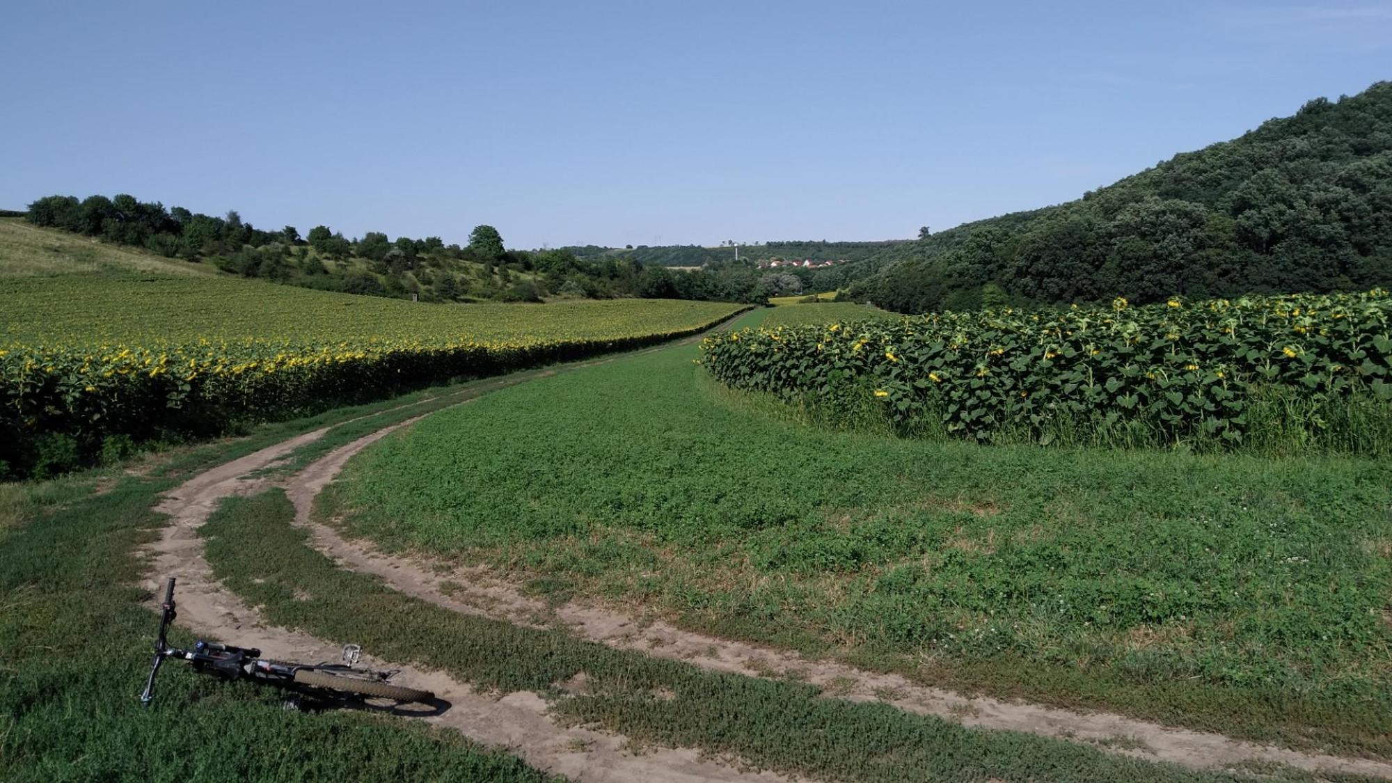 64bc101e573622641a76ed20.jpg?width=2000&