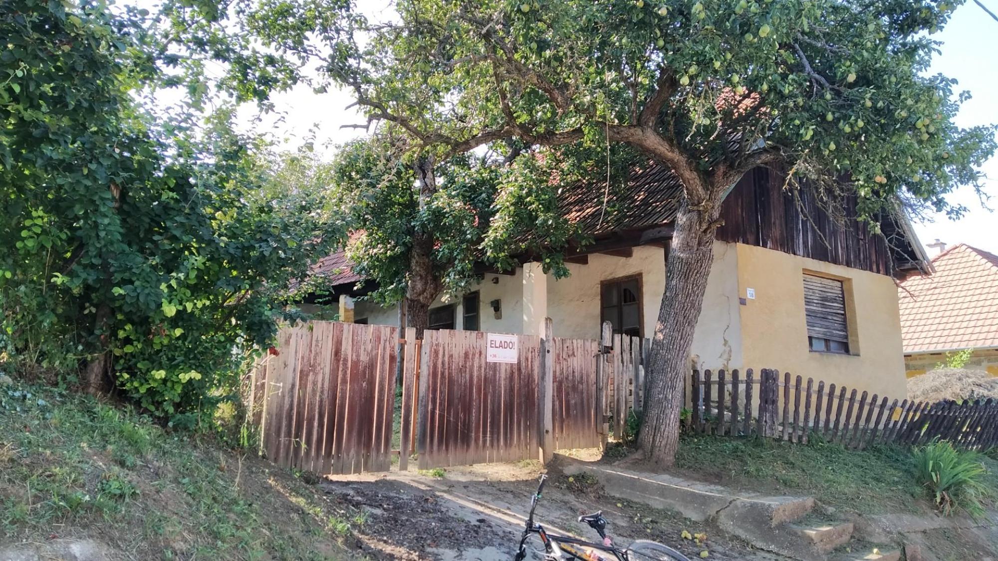 64bc102b5e99c6506b7fd4c5.jpg?width=2000&