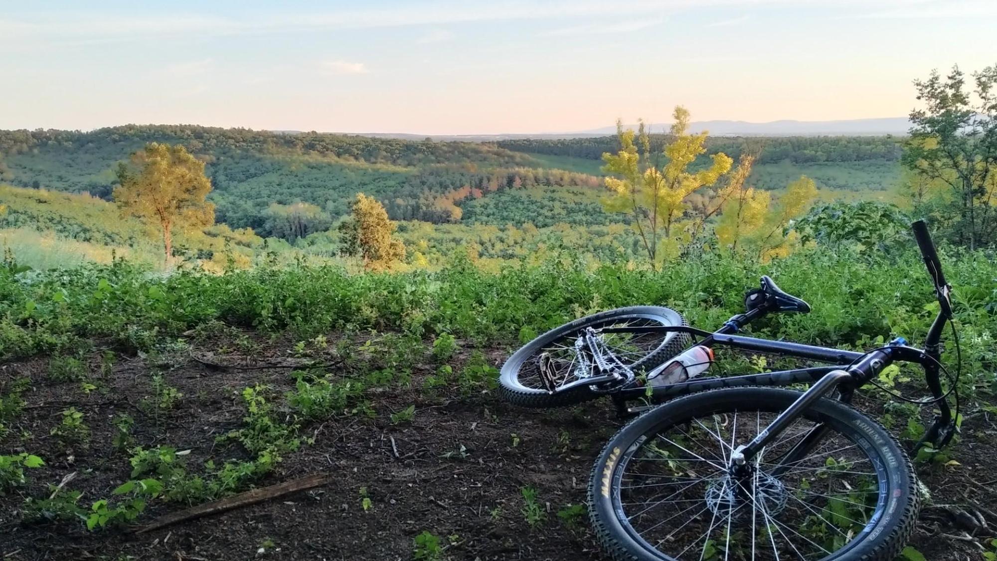 64ca9bab877e8f084e4352b1.jpg?width=2000&