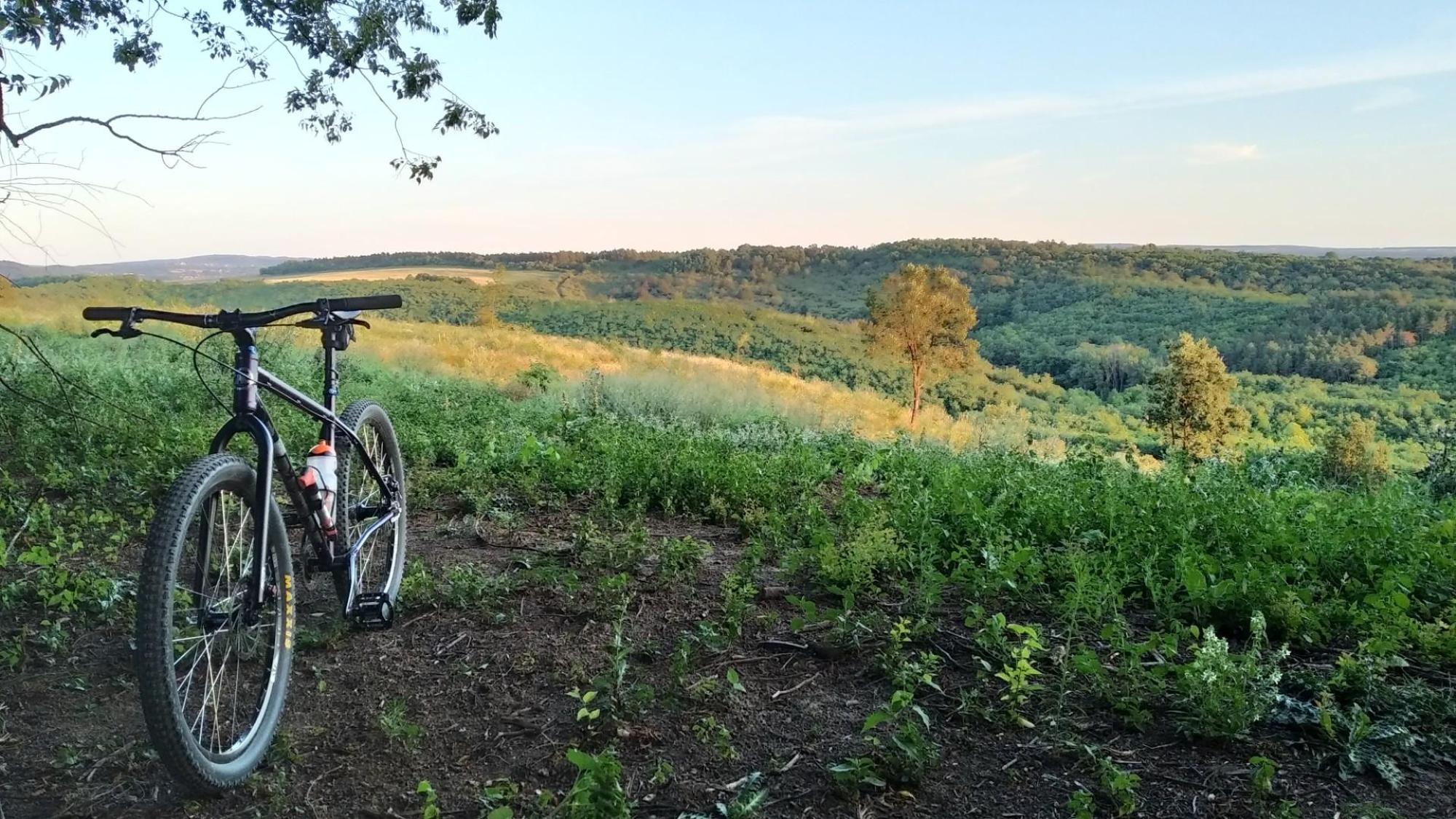 64ca9bac08072a2d159417bc.jpg?width=2000&