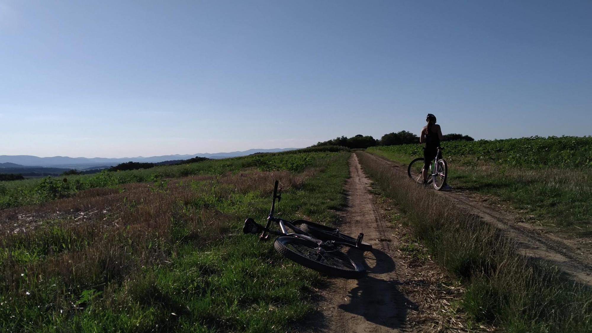 64d671ca974da9256e99bf74.jpg?width=2000&