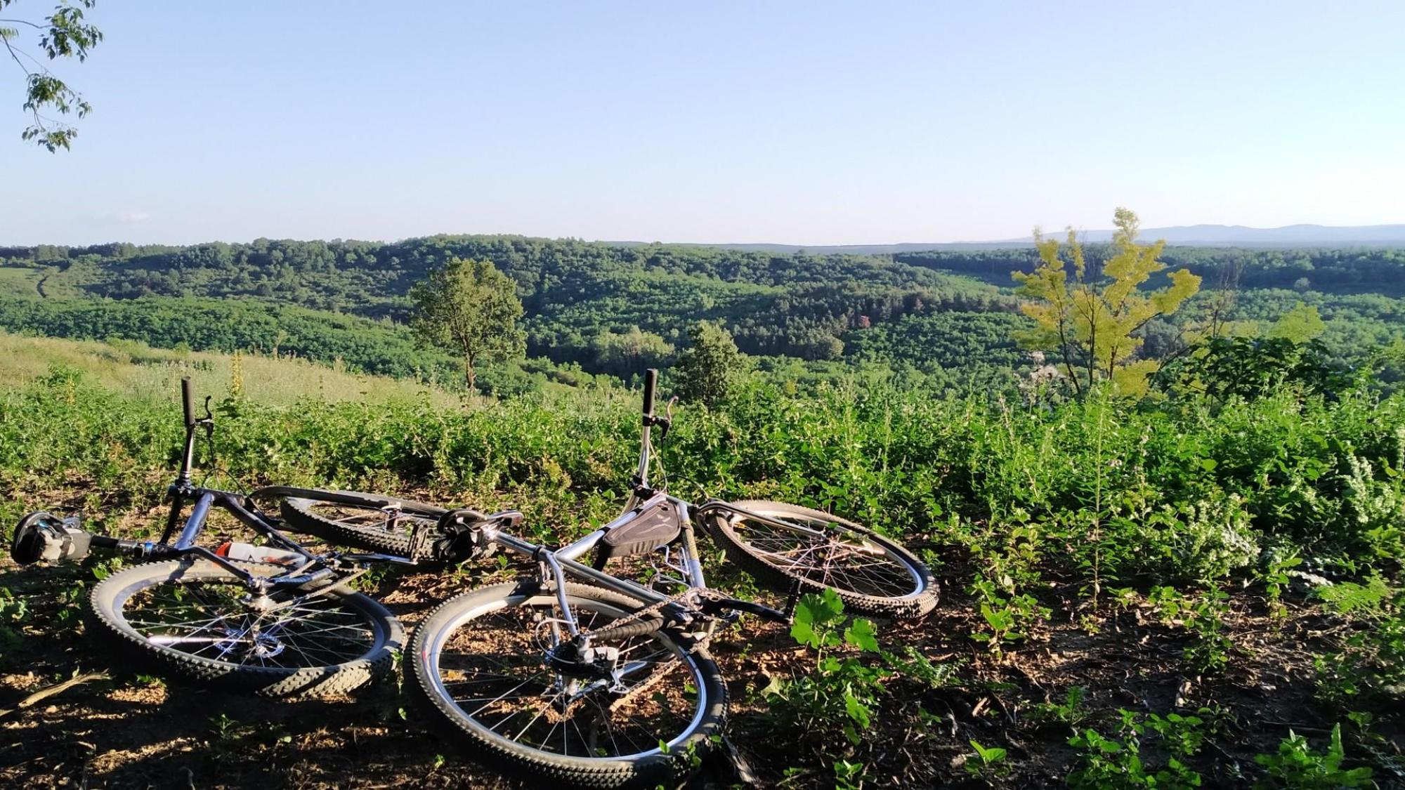 64d671cb879d8b0e452d8a33.jpg?width=2000&