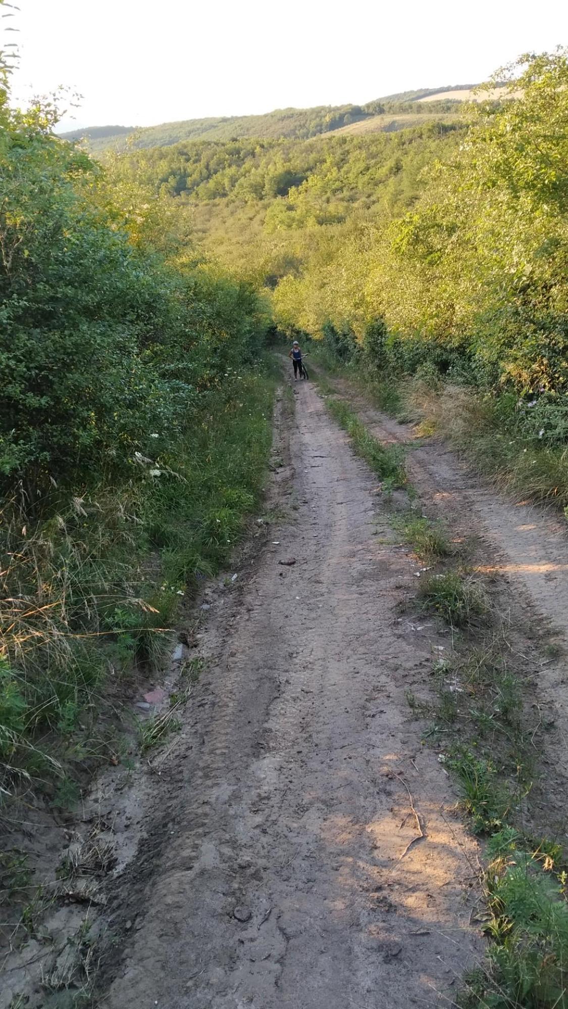 64d671ced6b2510662eb247b.jpg?width=2000&