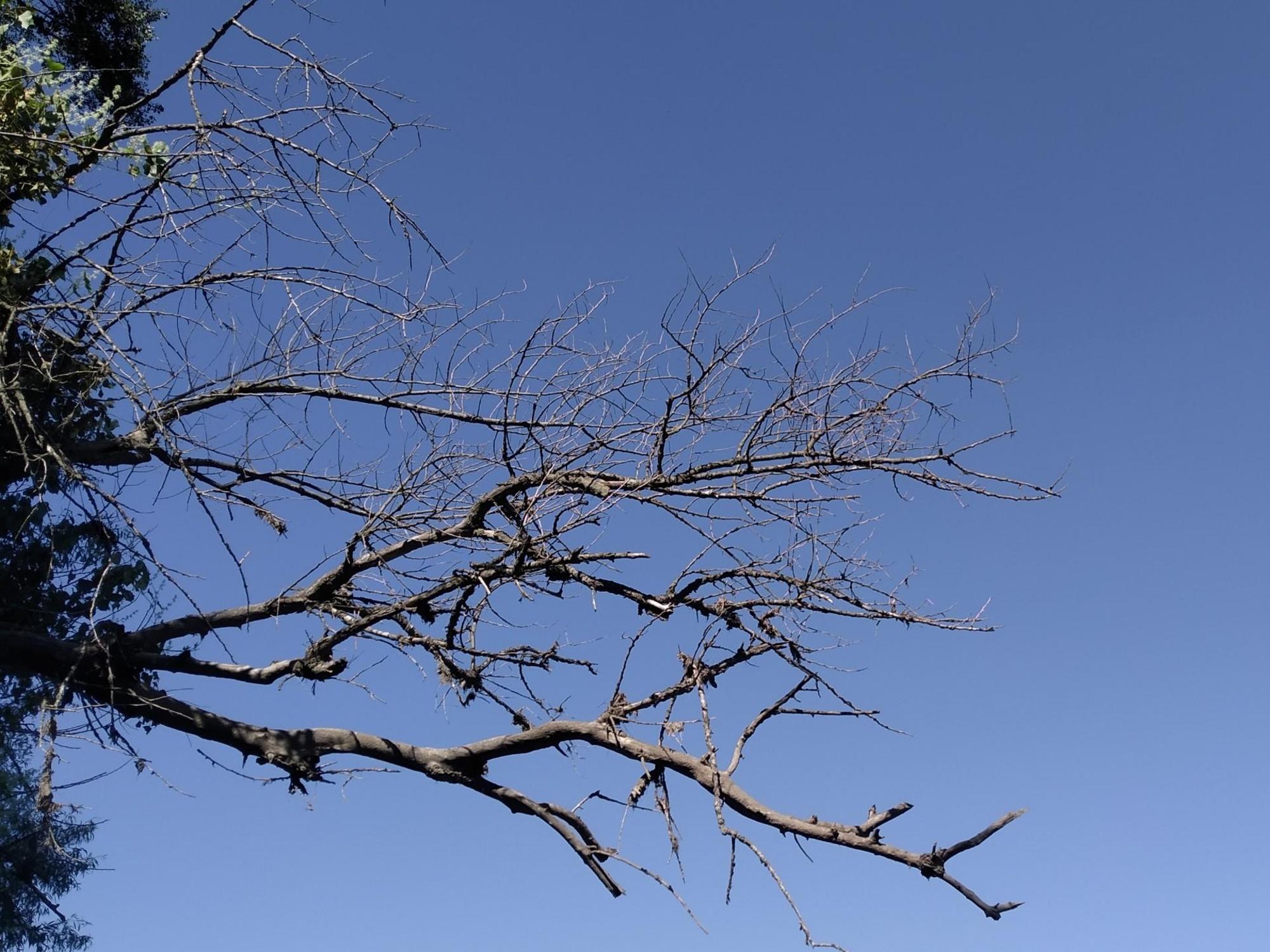 64da6a85bc9bed093f7f764f.jpg?width=2000&