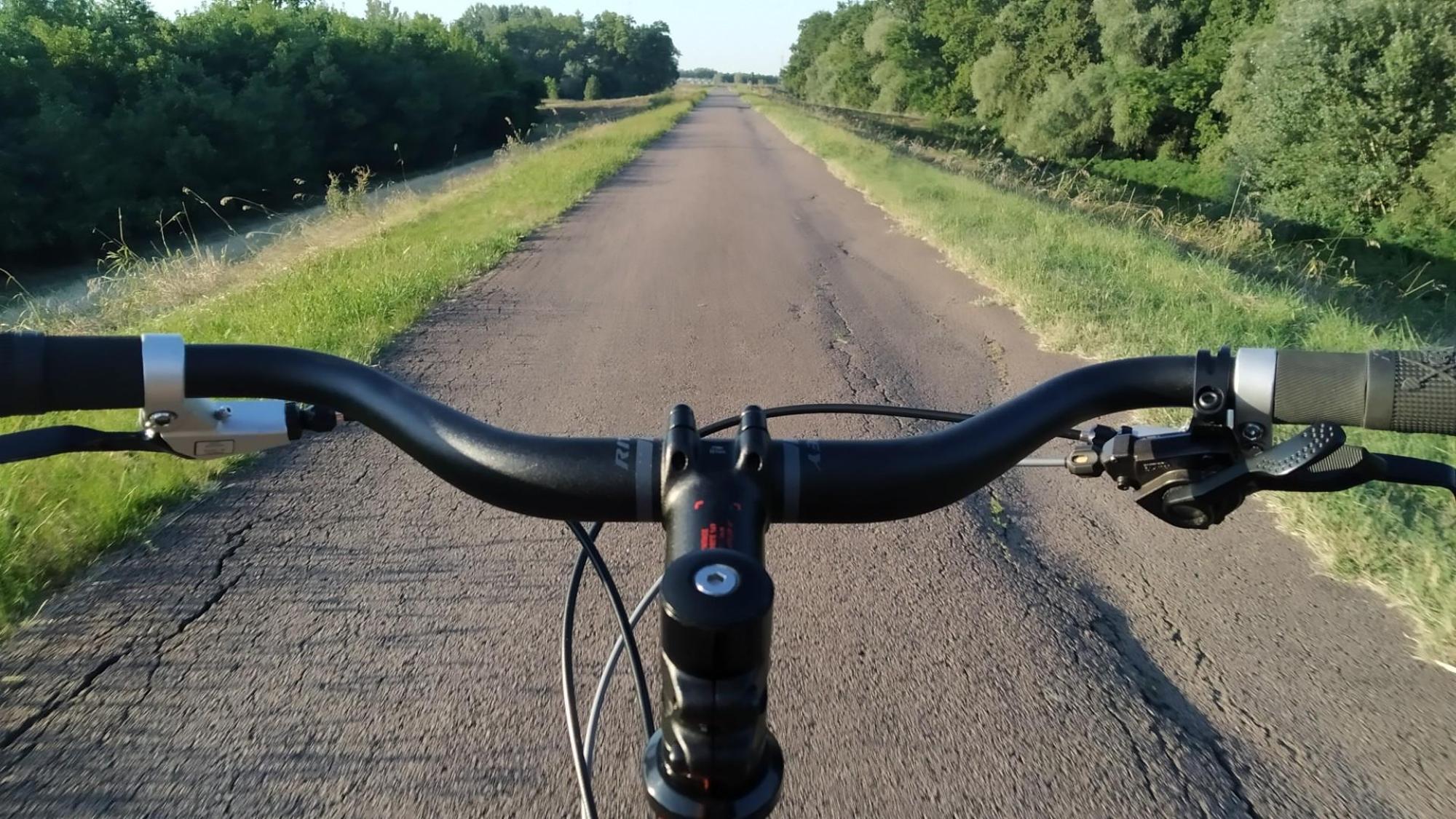 64da6a894dc4600199ea5f77.jpg?width=2000&