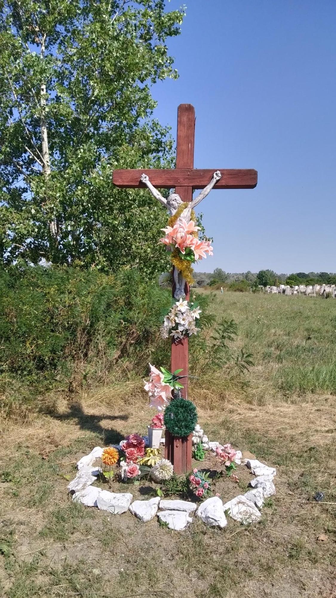 64da6a89c7abec12c8f2cd54.jpg?width=2000&