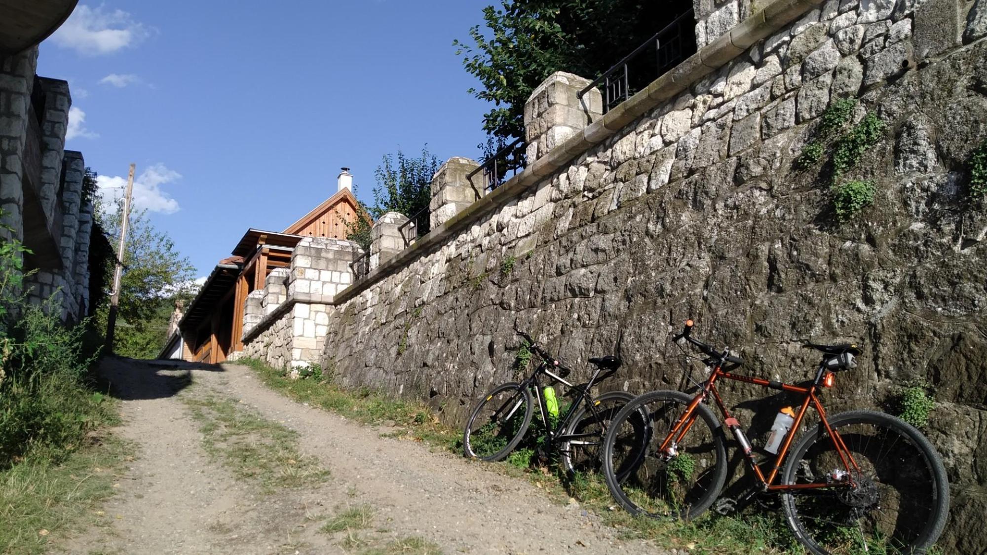 64f3649d1e6f4b6228c7c666.jpg?width=2000&