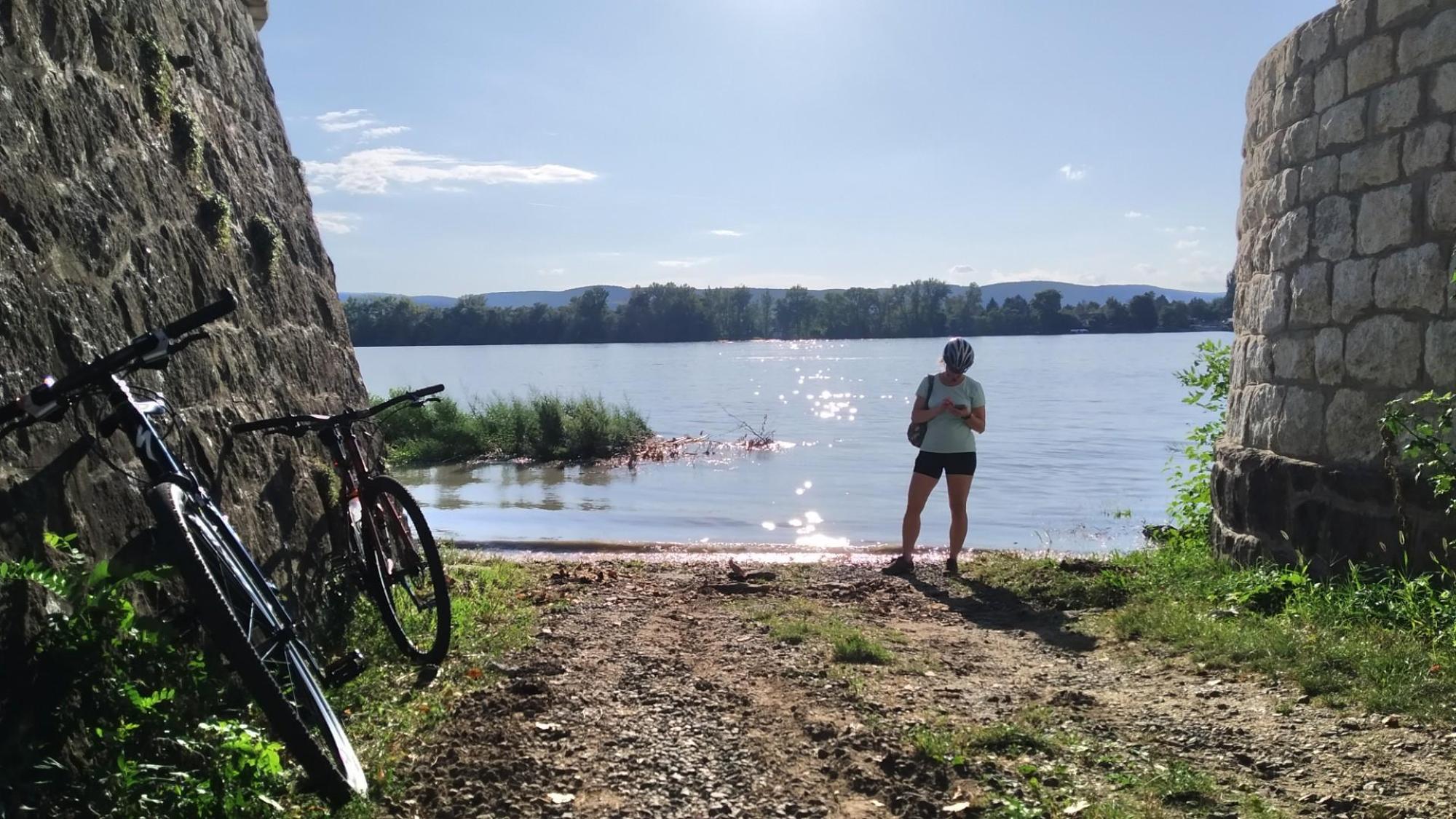 64f3649ed437964ce9866bc4.jpg?width=2000&