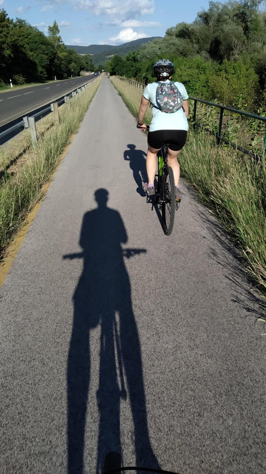 64f364a252f7256336486427.jpg?width=2000&