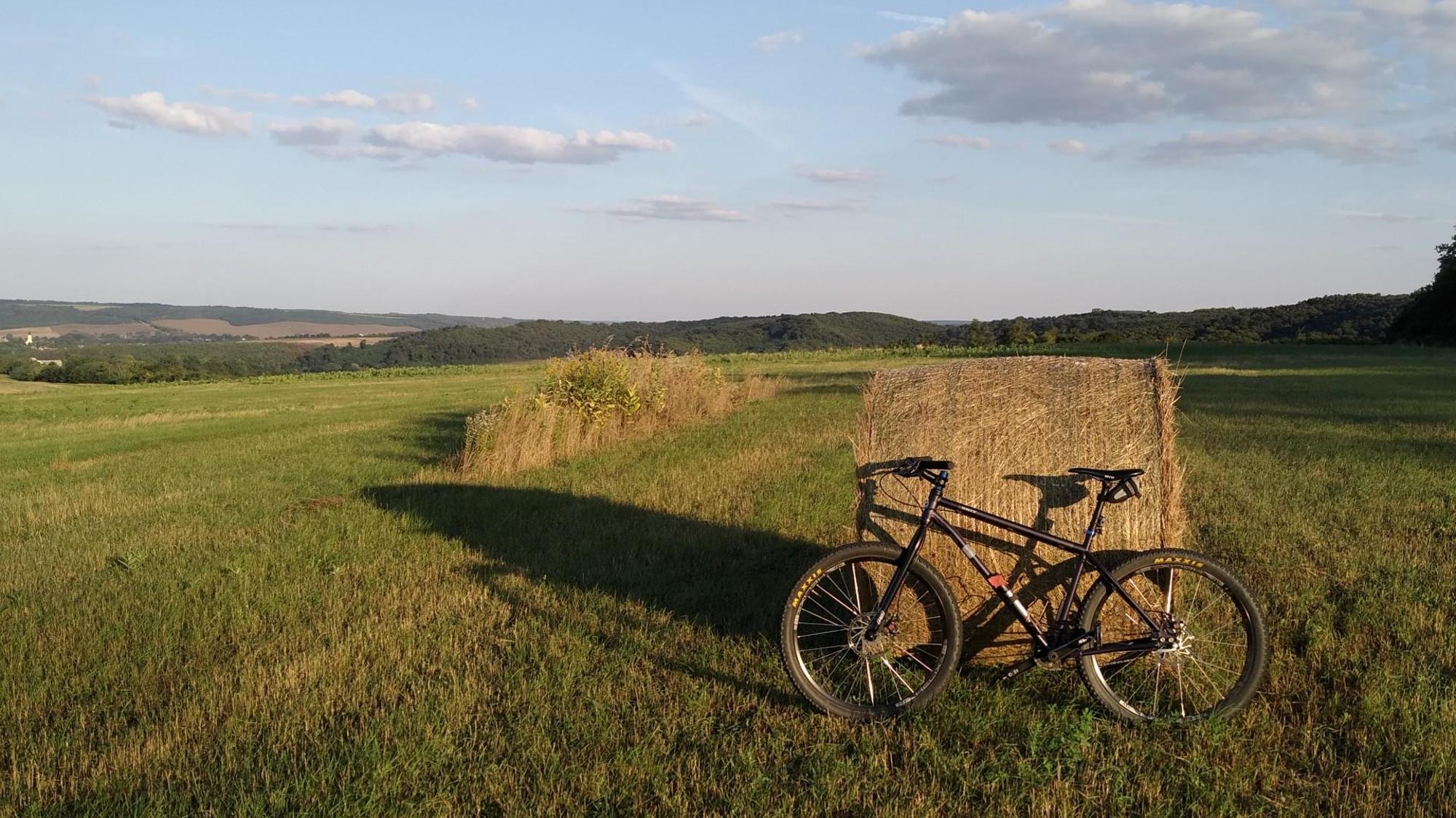 64f760cb871cb213ee3301c2.jpg?width=2000&