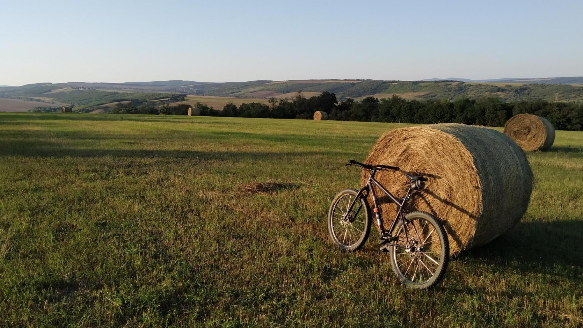 64f760cfc24a1844952873bd.jpg?width=2000&