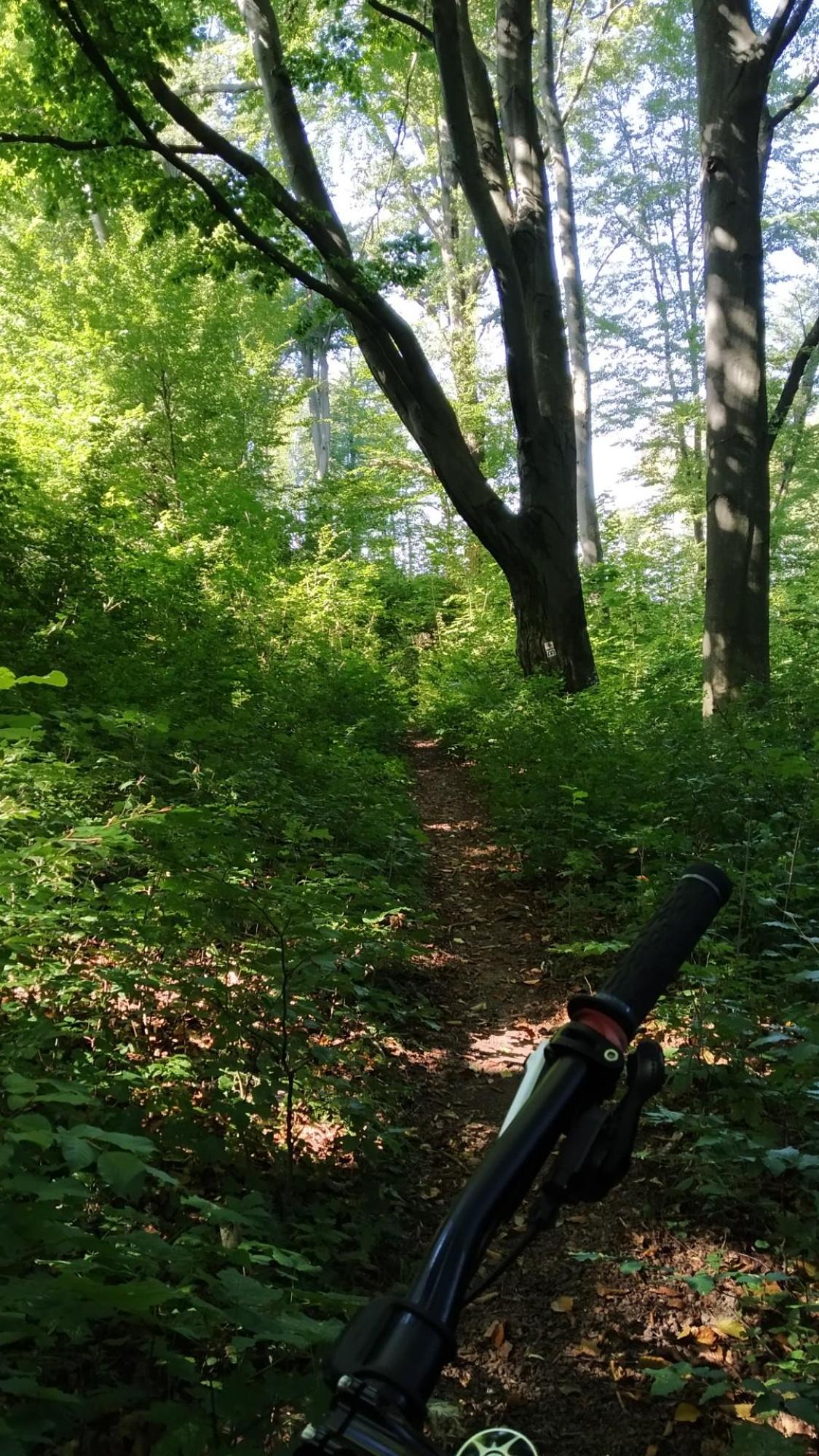 64fc8efb825f3f00d30b5978.jpg?width=2000&