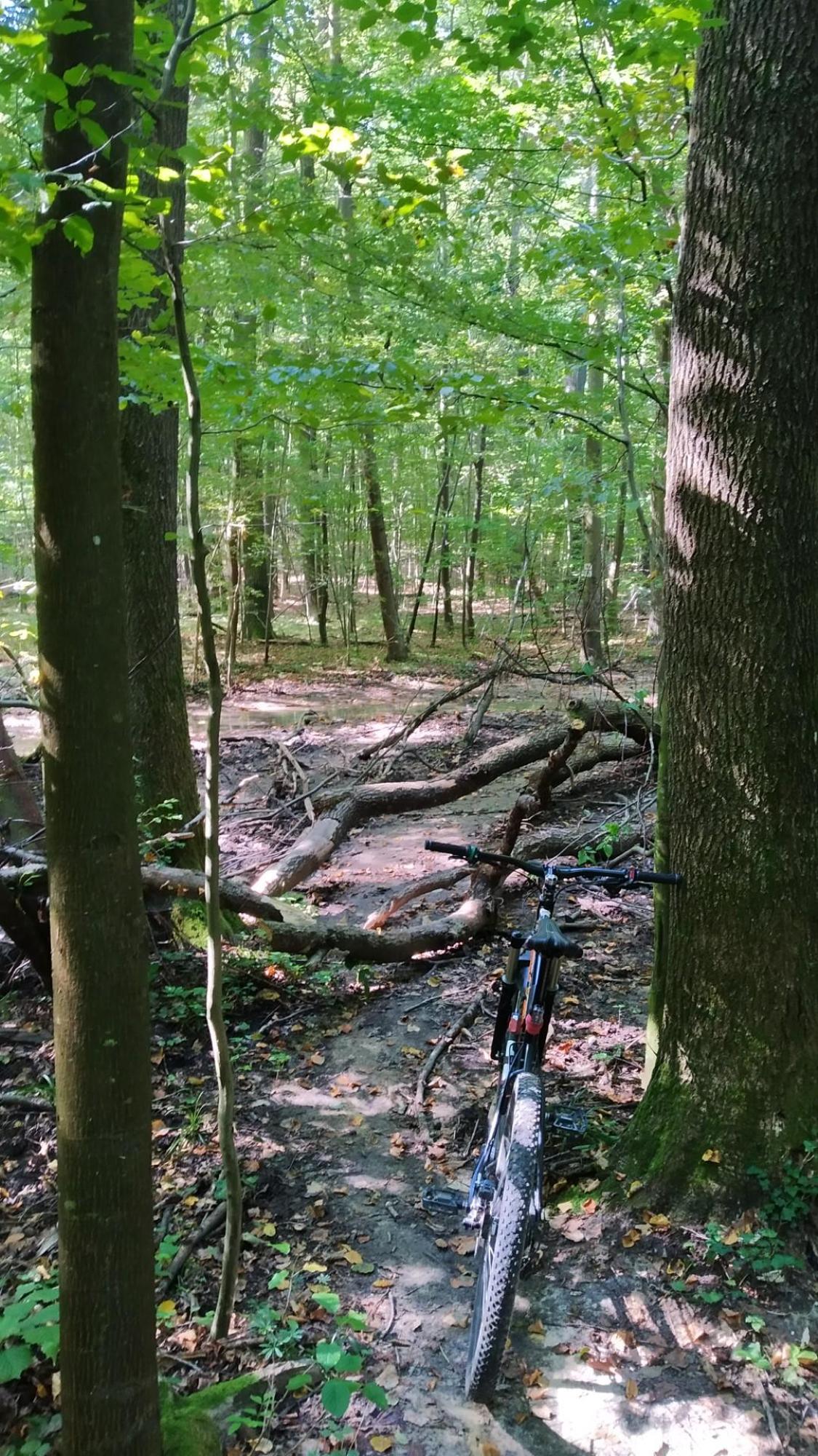 64fef7e60533532c3d9e47d4.jpg?width=2000&