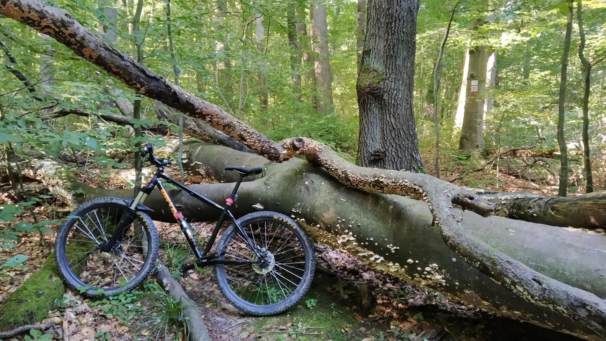 64fef7e7044da71b72af021c.jpg?width=2000&