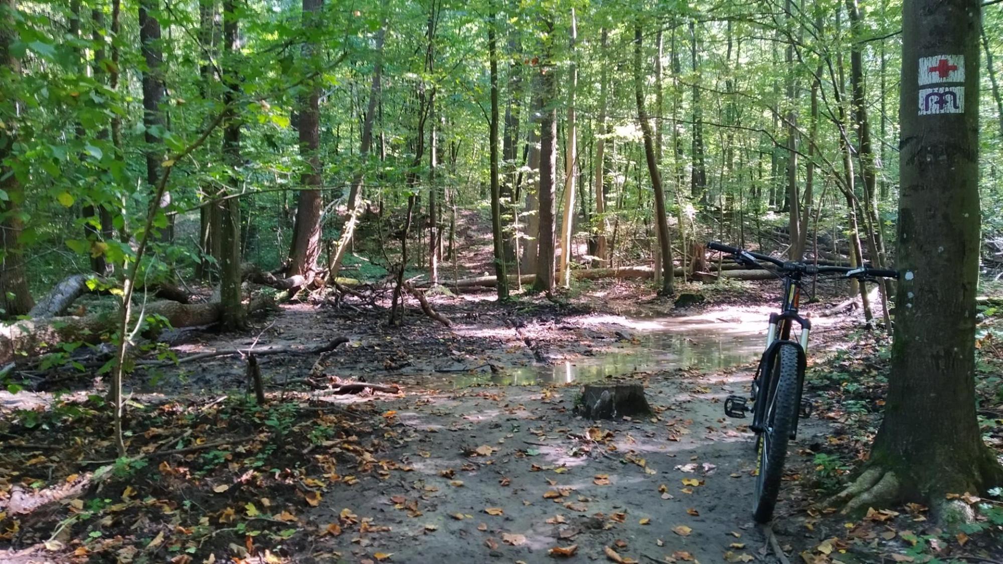 64fef7e71560d241485e3541.jpg?width=2000&