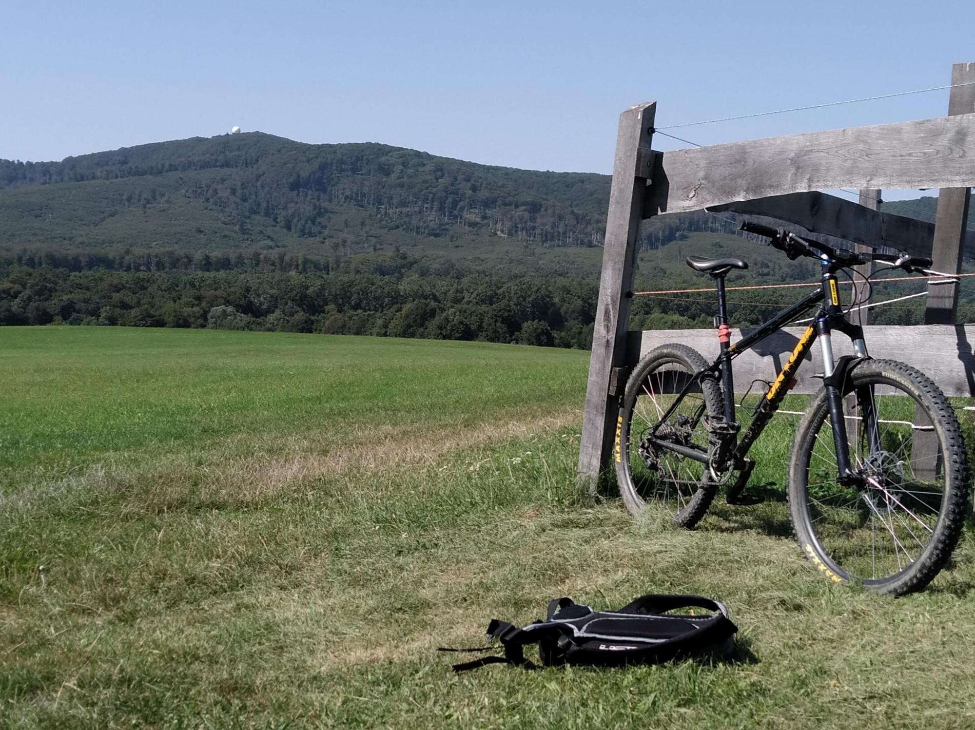 64fef80063e1a8163b76f028.jpg?width=2000&