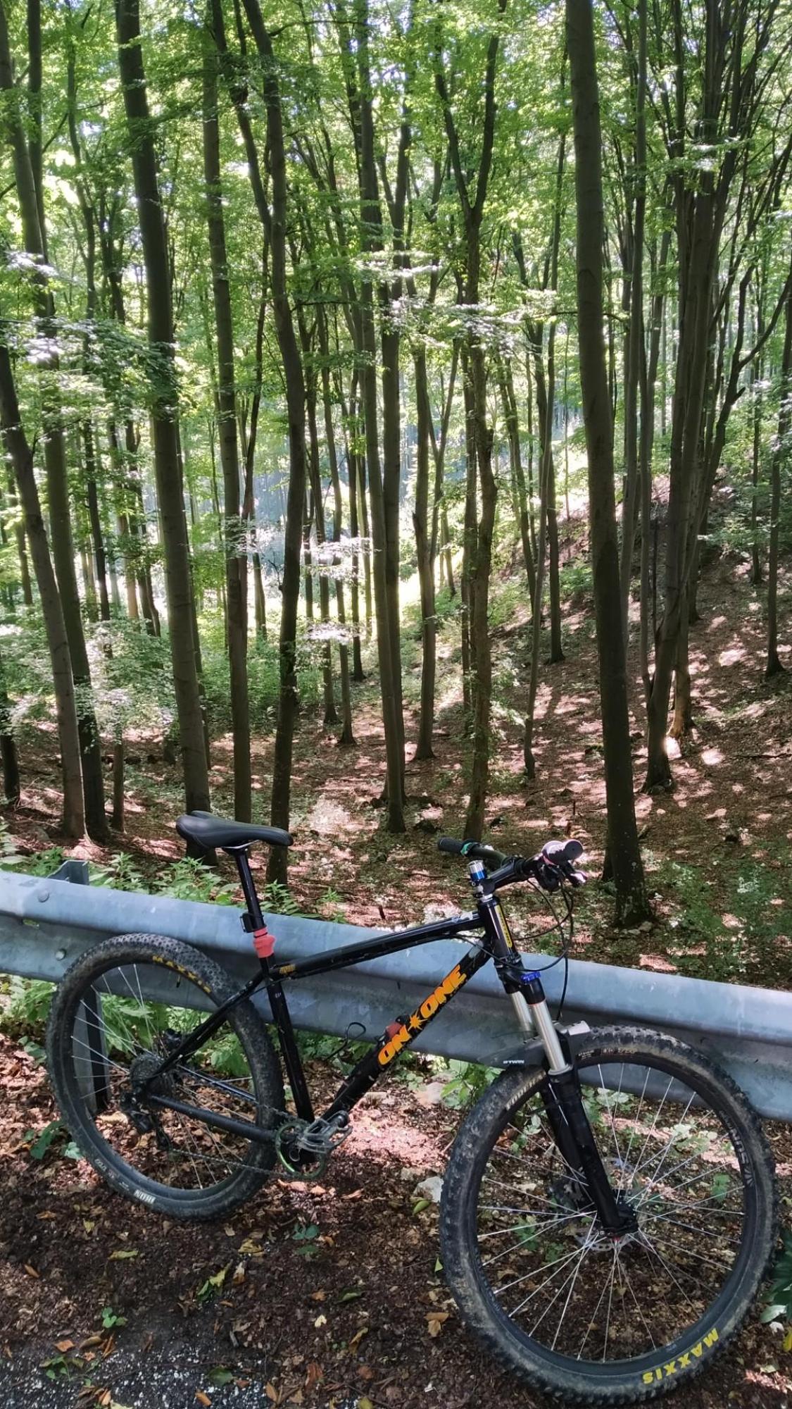 64fef80211581a53f4b6e9b1.jpg?width=2000&