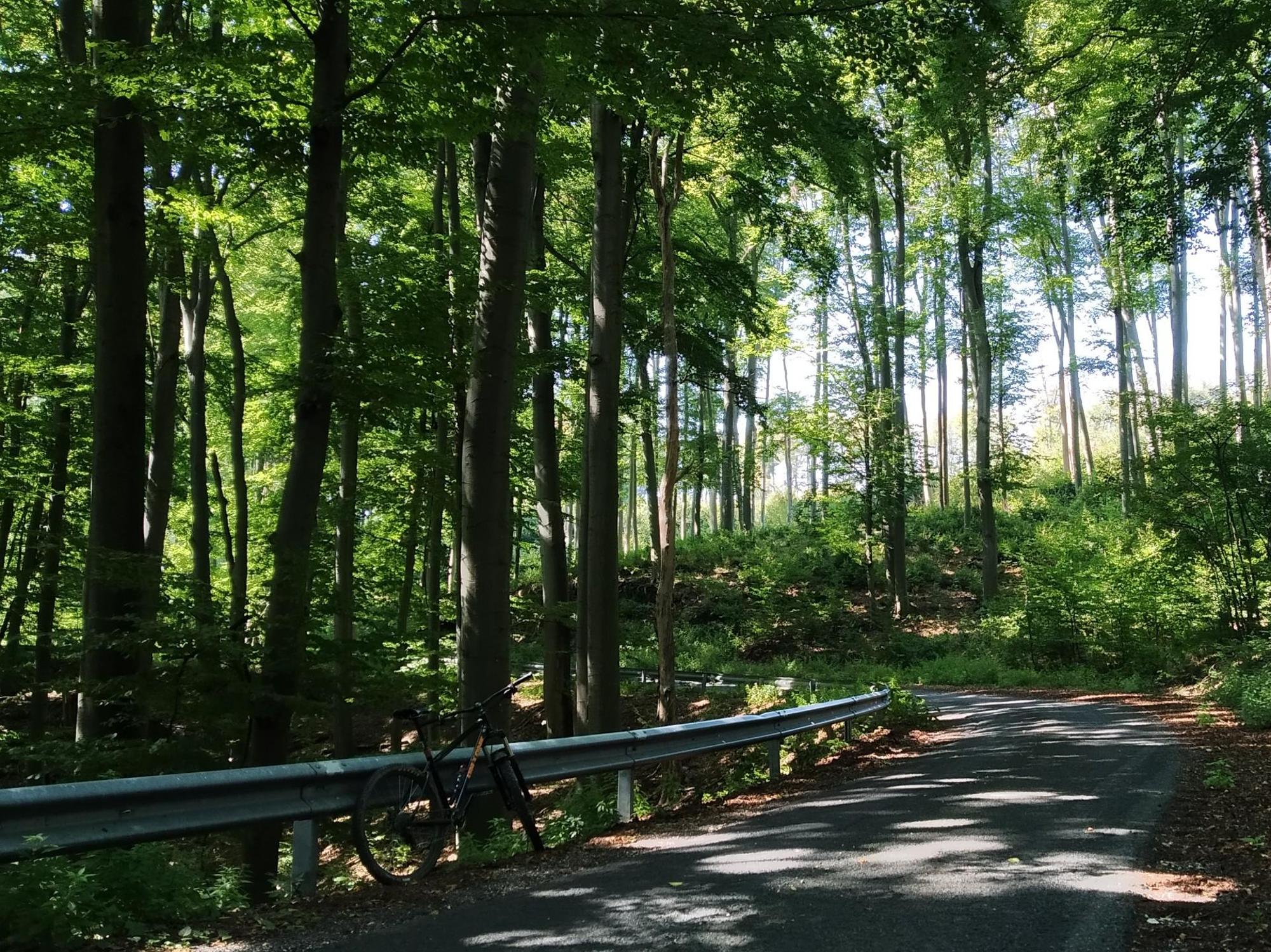 64fef803186caa3622752641.jpg?width=2000&