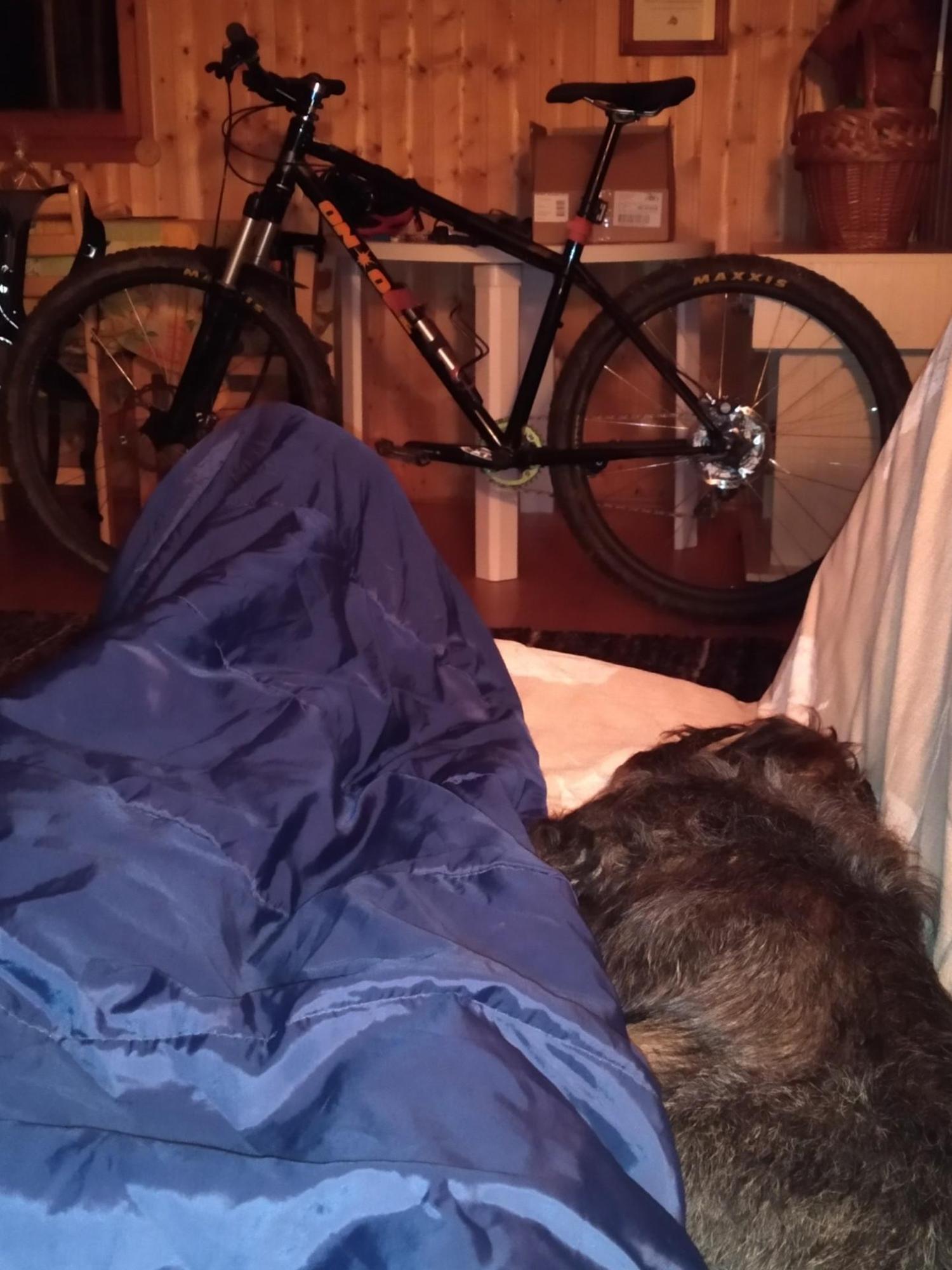 64fef8043c26df05291c6fc8.jpg?width=2000&