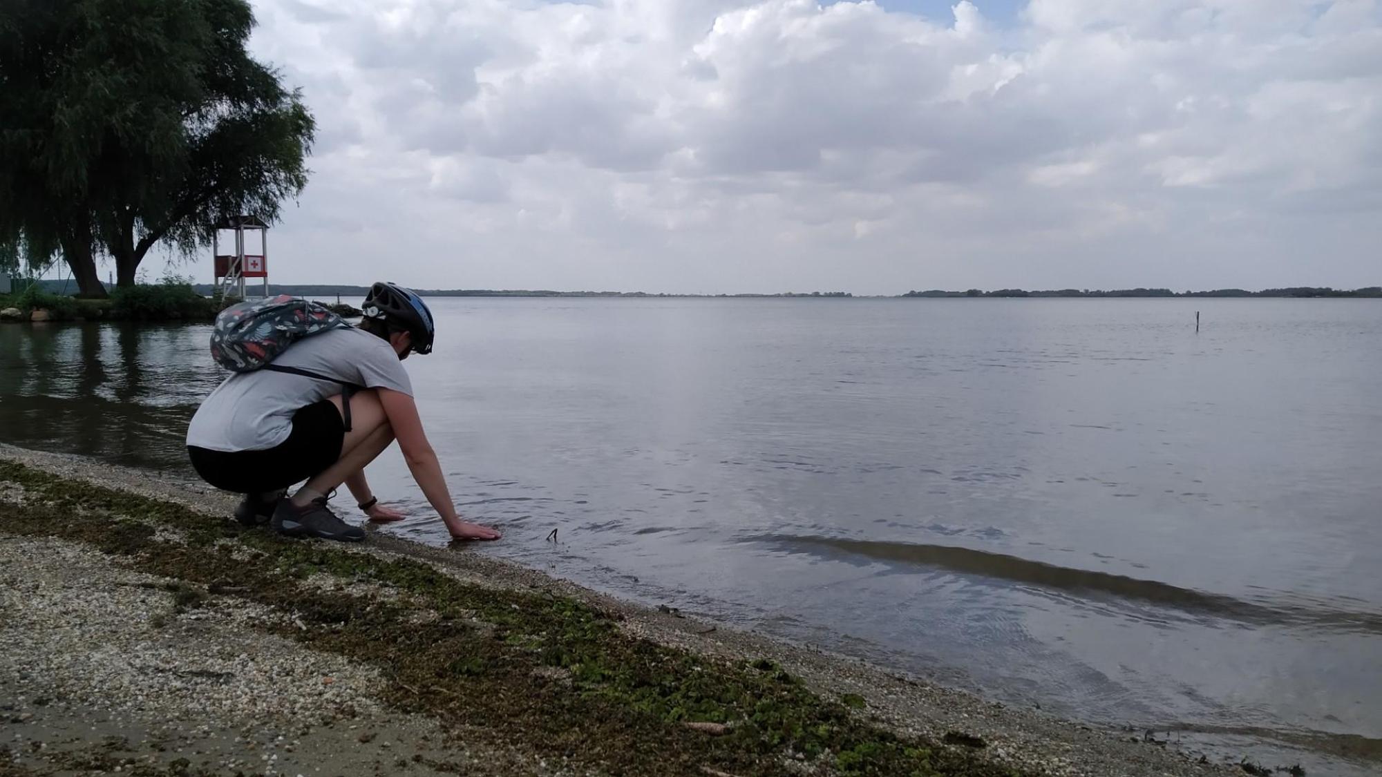 650dec4b49316f593ba2de5e.jpg?width=2000&