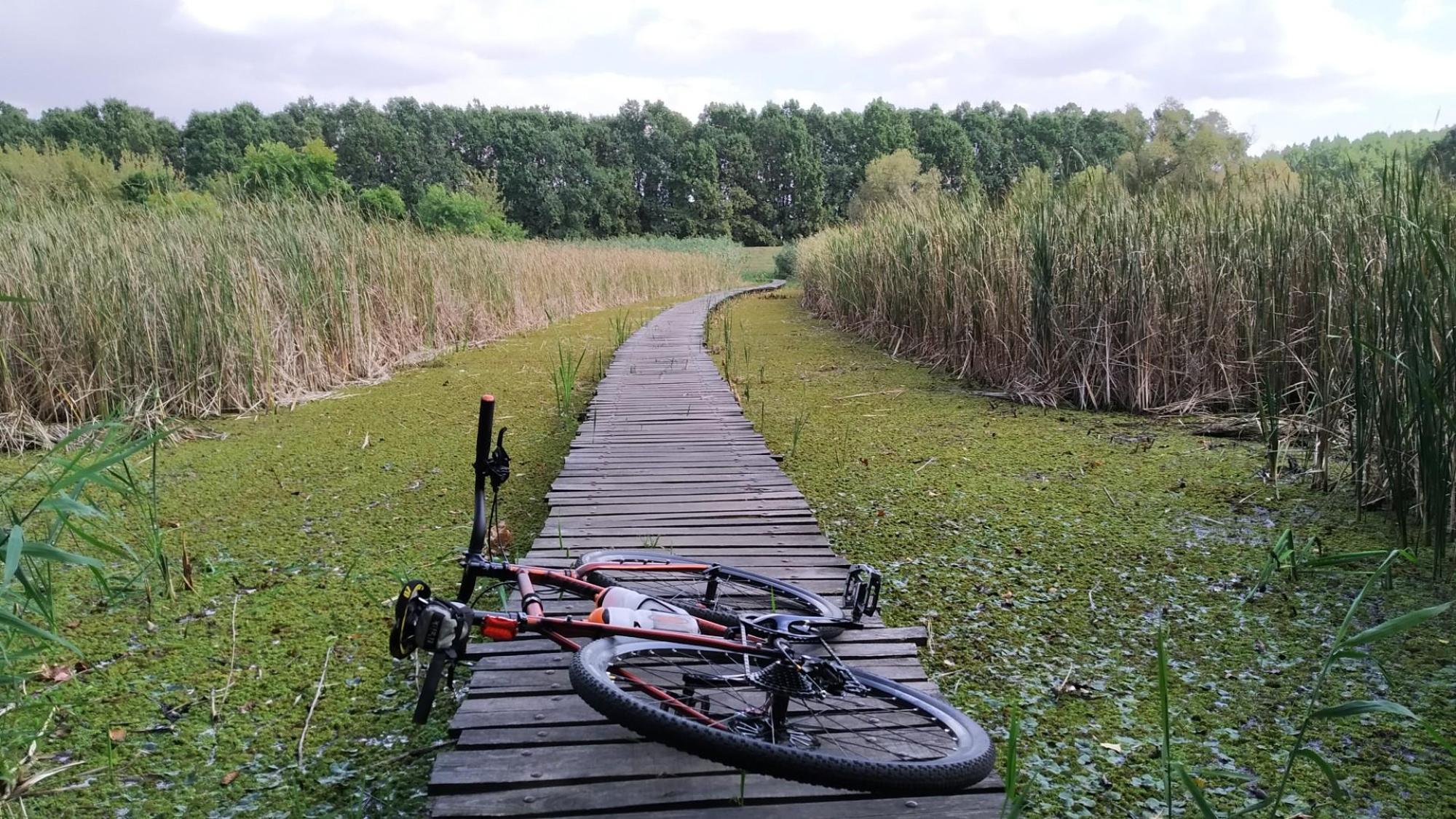 650dec6f7b852741515599ed.jpg?width=2000&