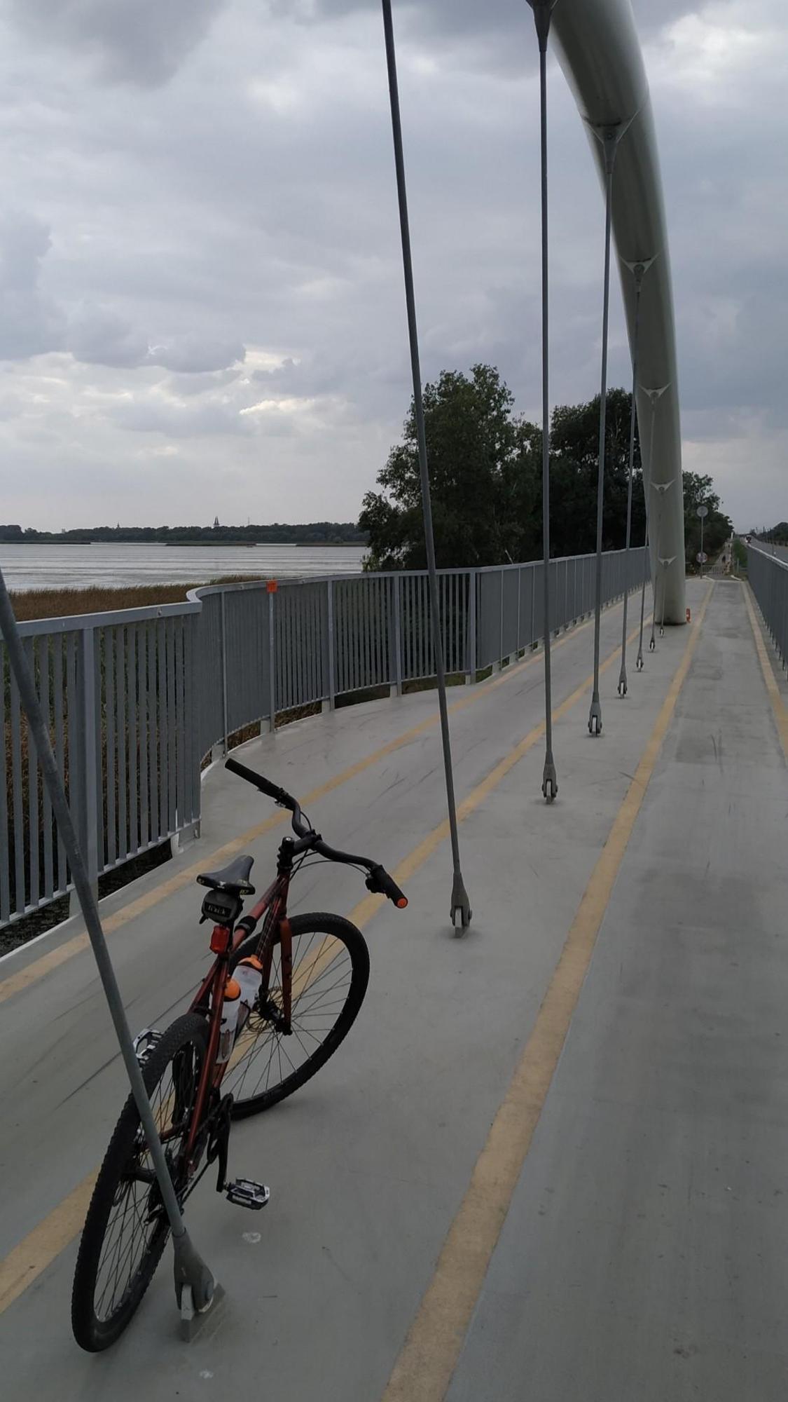 650dec82485f6e4717c4f79e.jpg?width=2000&