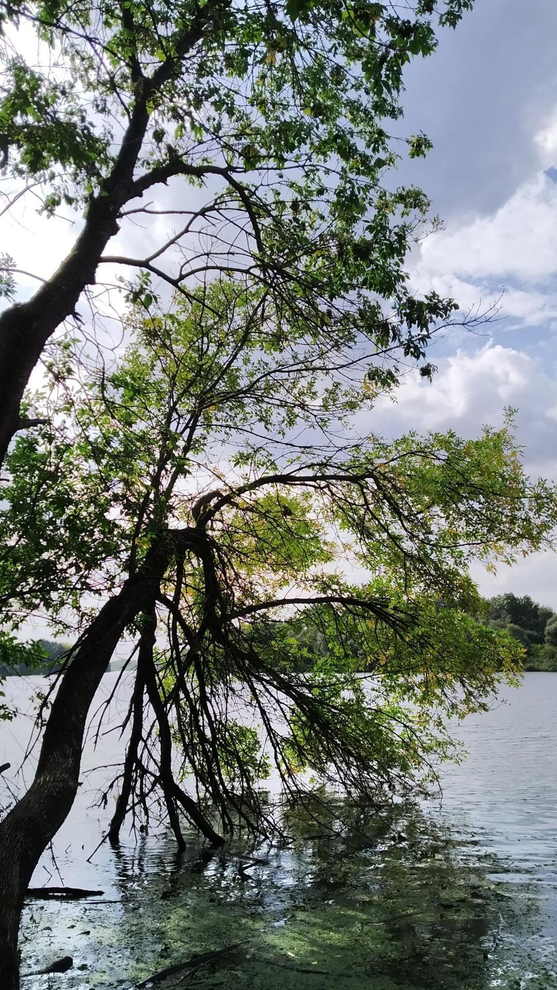 650deee565d1e309e4bbcccc.jpg?width=2000&