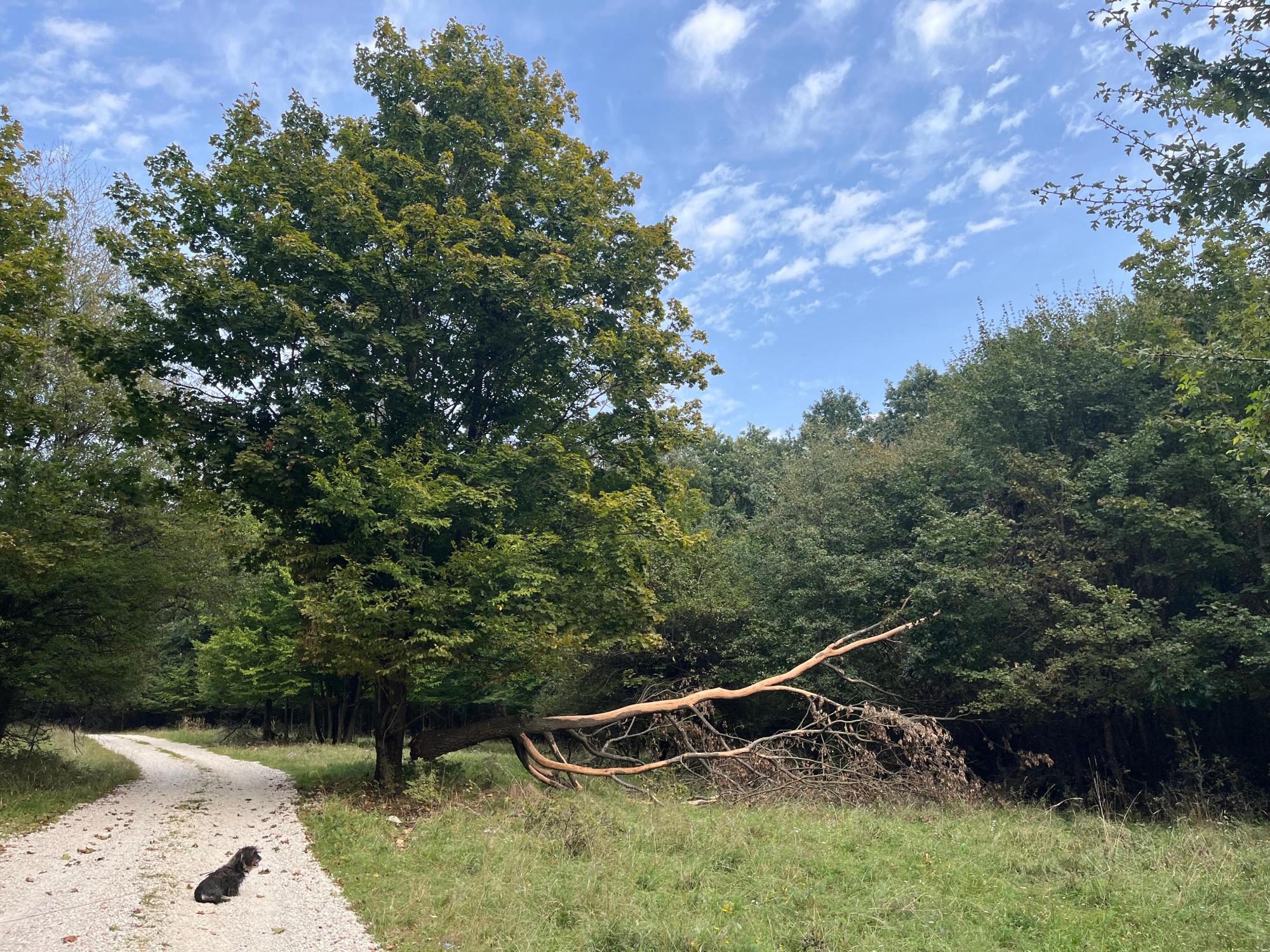 65182cfb9791762a87f2a6eb.jpg?width=2000&