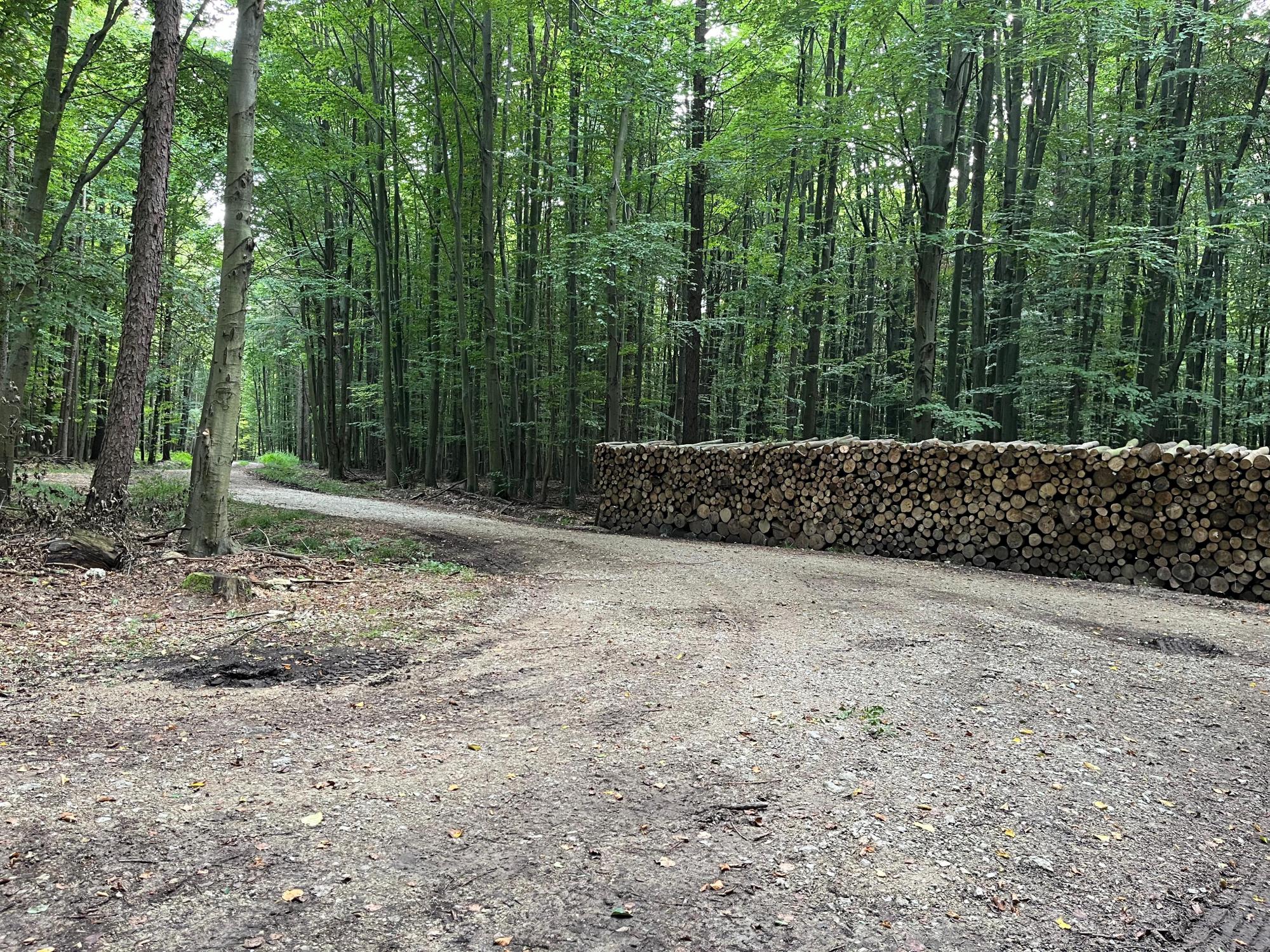 65182d2bb081346c0d75758c.jpg?width=2000&