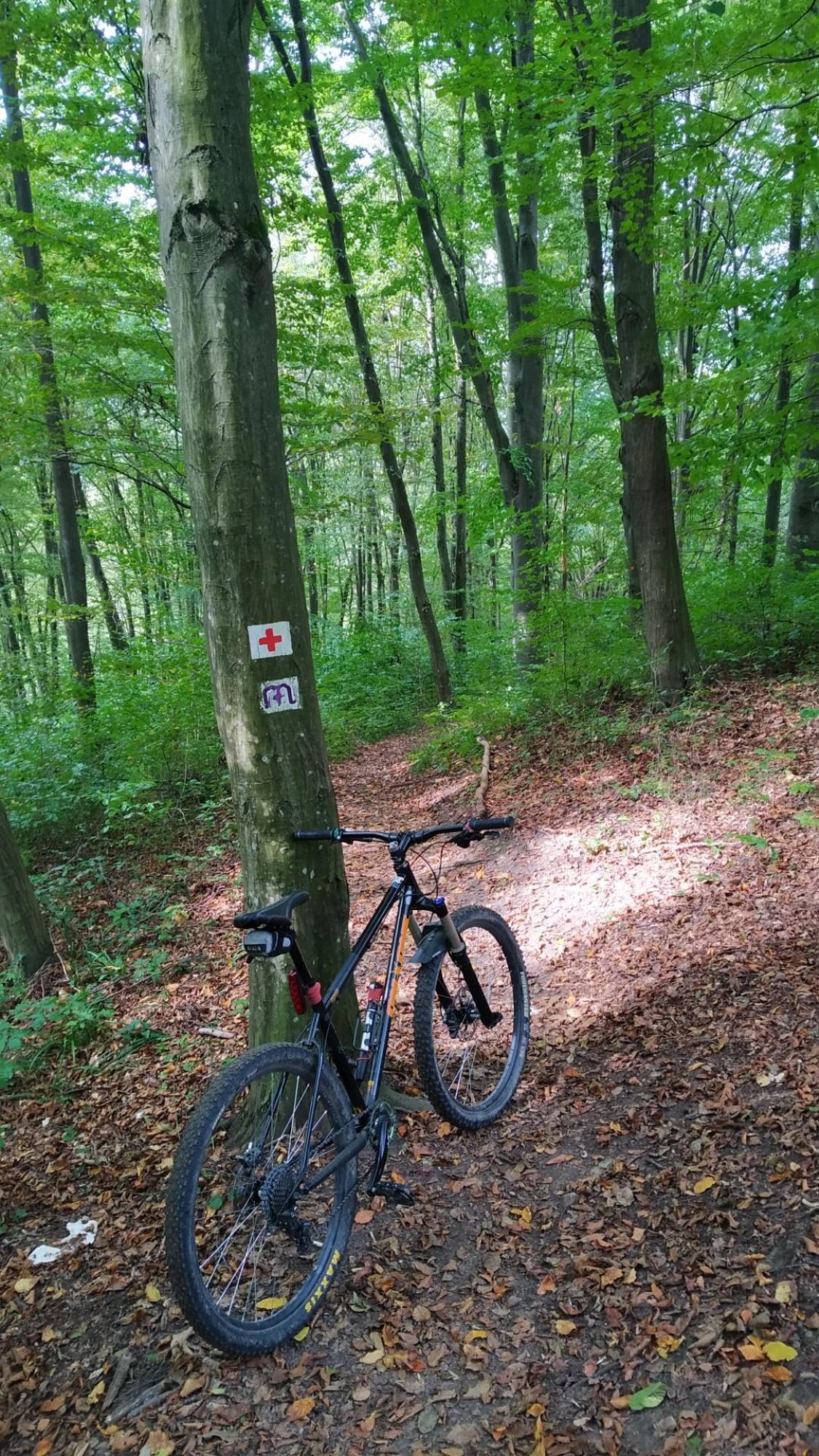 65195c39002e067a849f6aa1.jpg?width=2000&