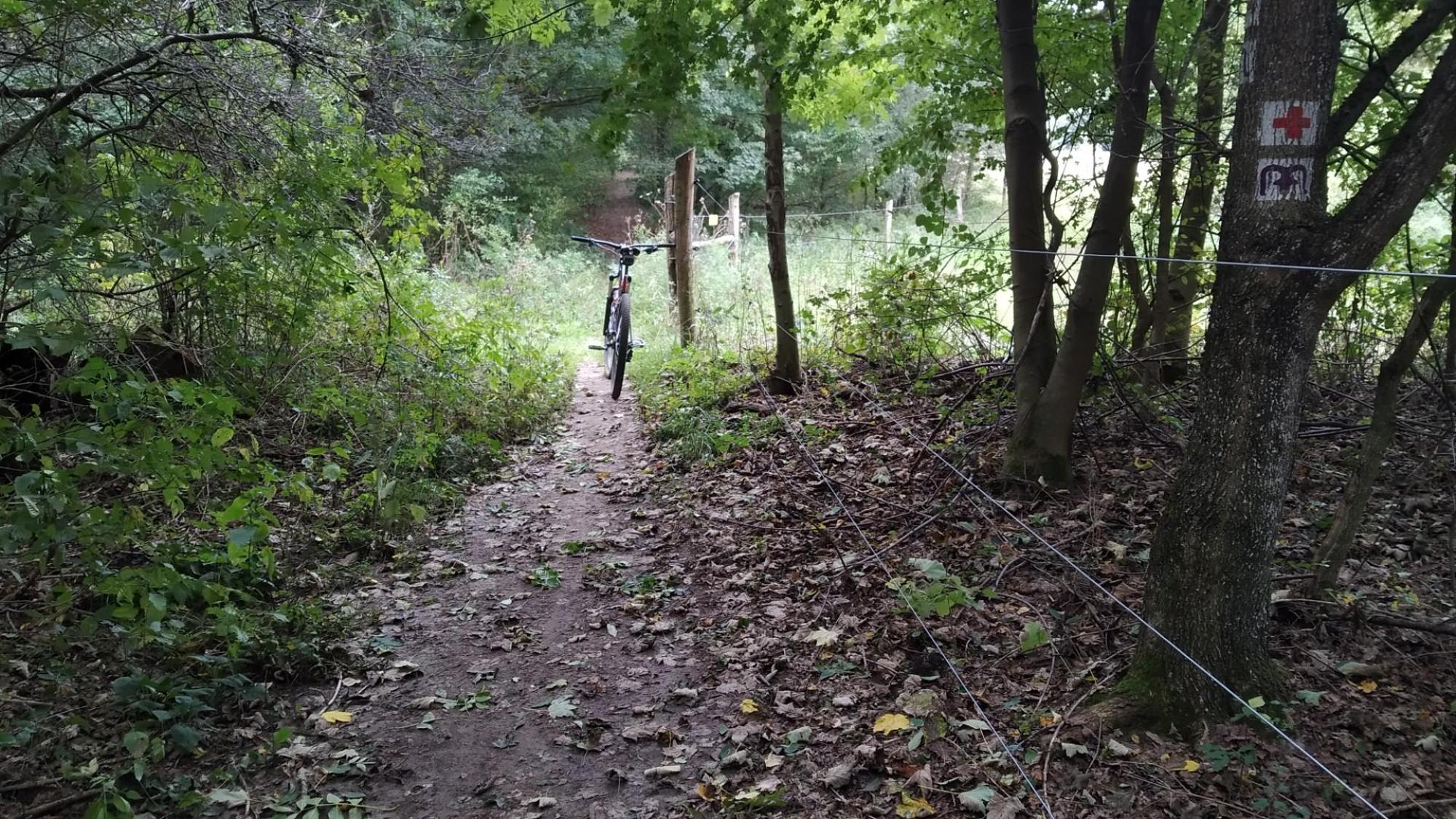 65195c3bcdc529161bf1eccf.jpg?width=2000&