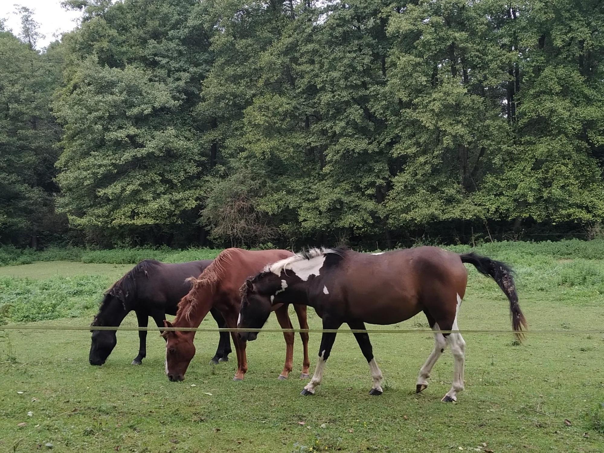 65195c417392b4306c73f202.jpg?width=2000&