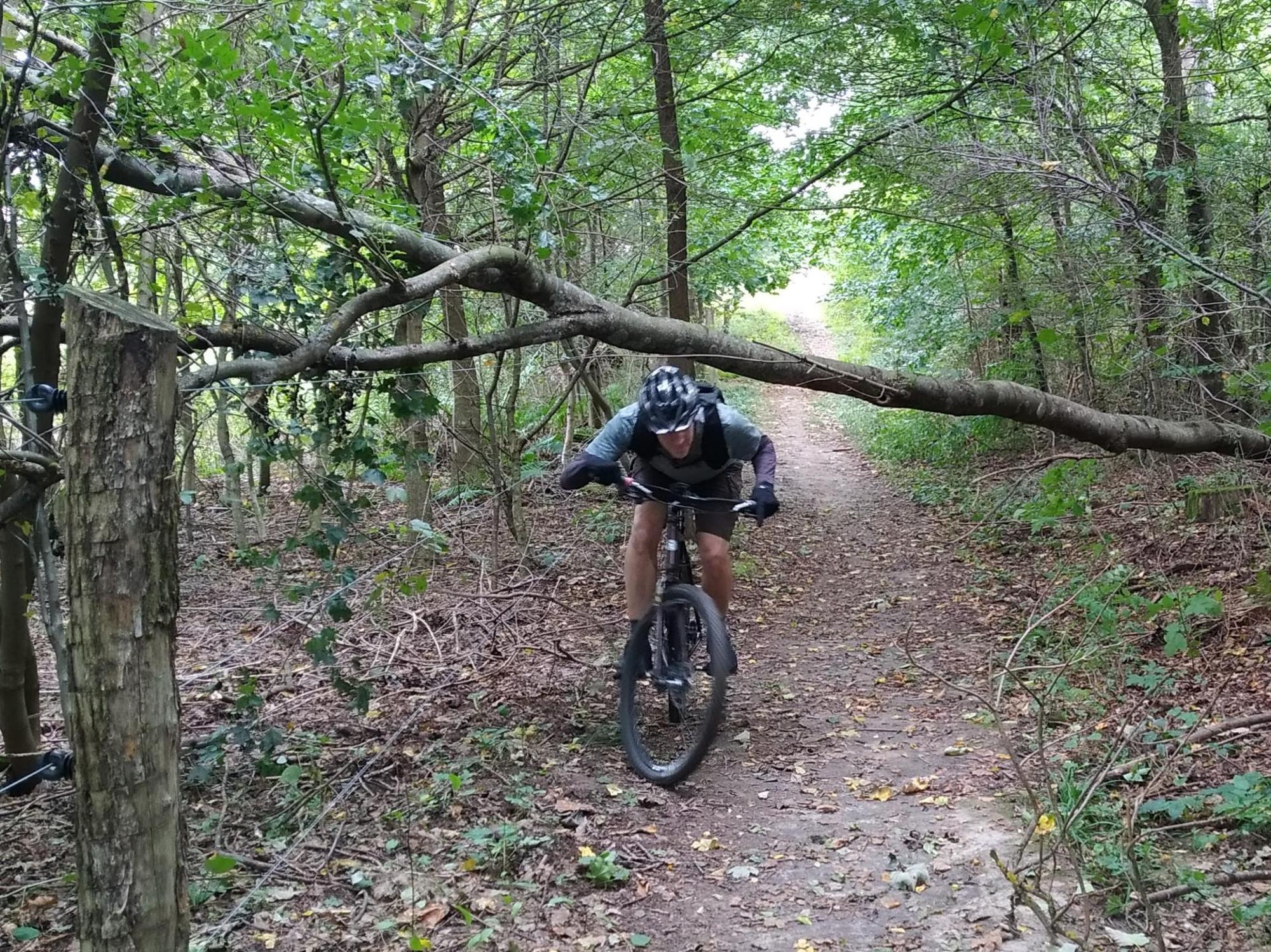 65195c46071688043c714d86.jpg?width=2000&