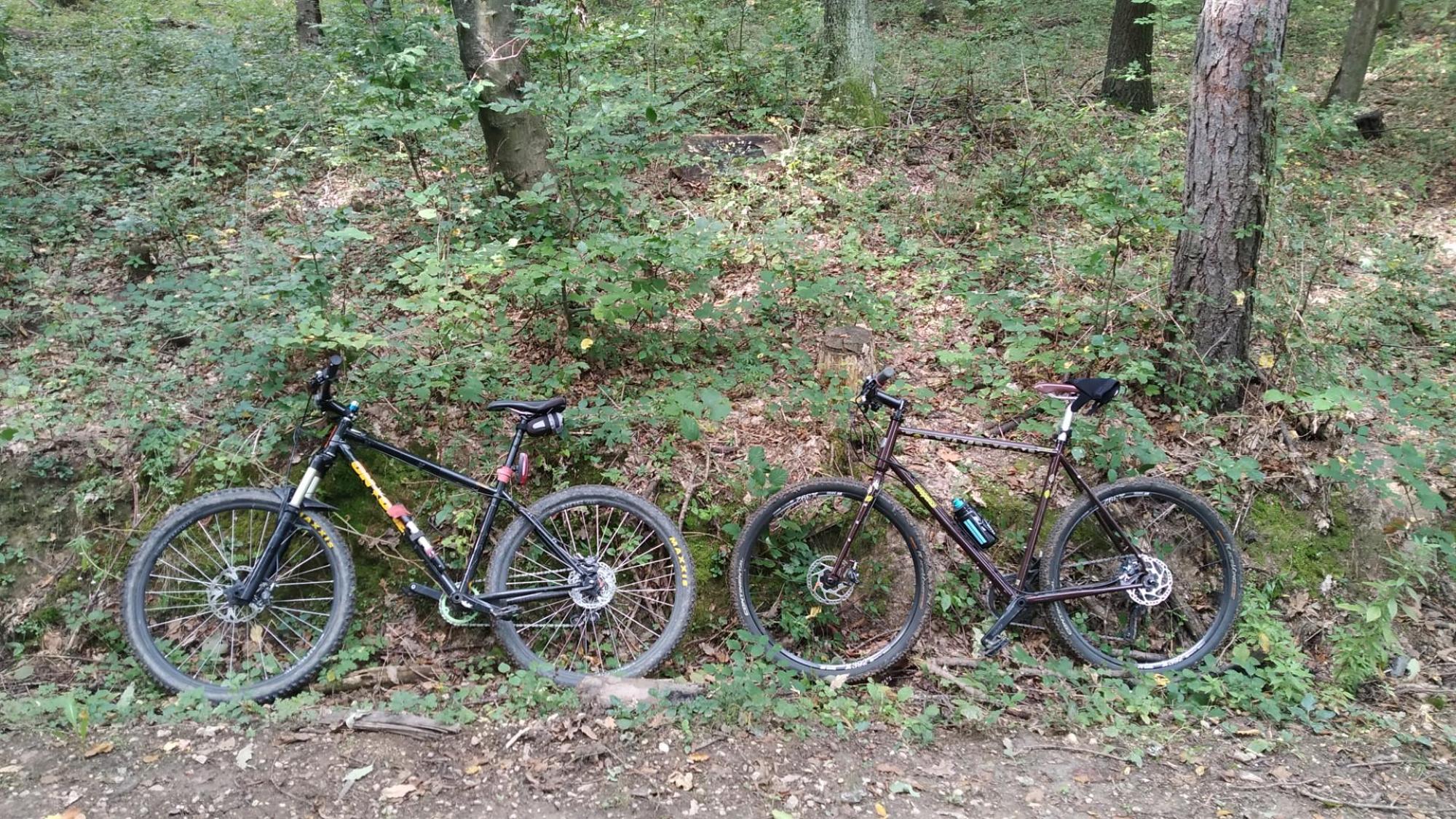 65195c4db9cd1165cd33a18e.jpg?width=2000&