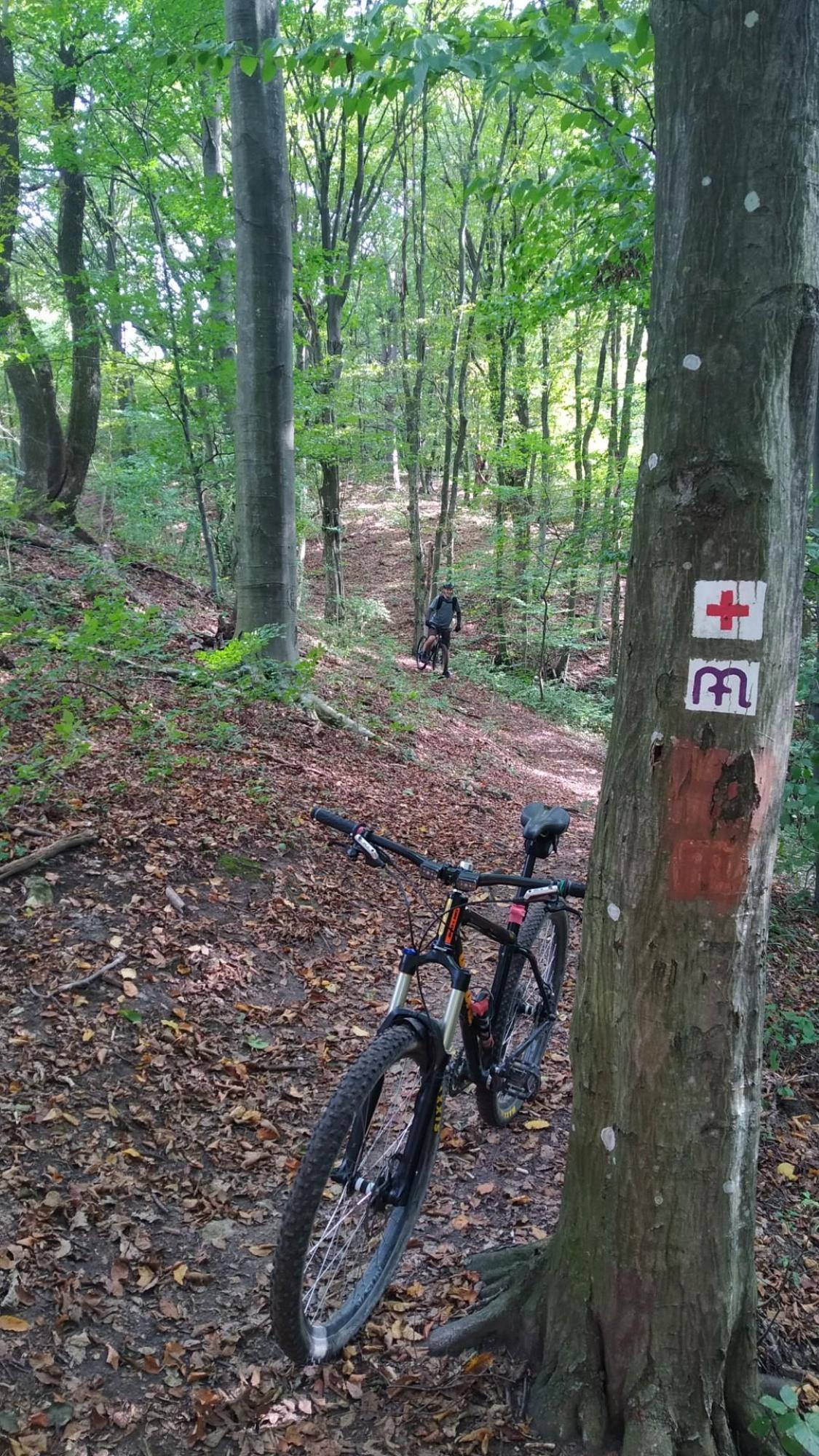 65195c4e0de90f4fce612773.jpg?width=2000&