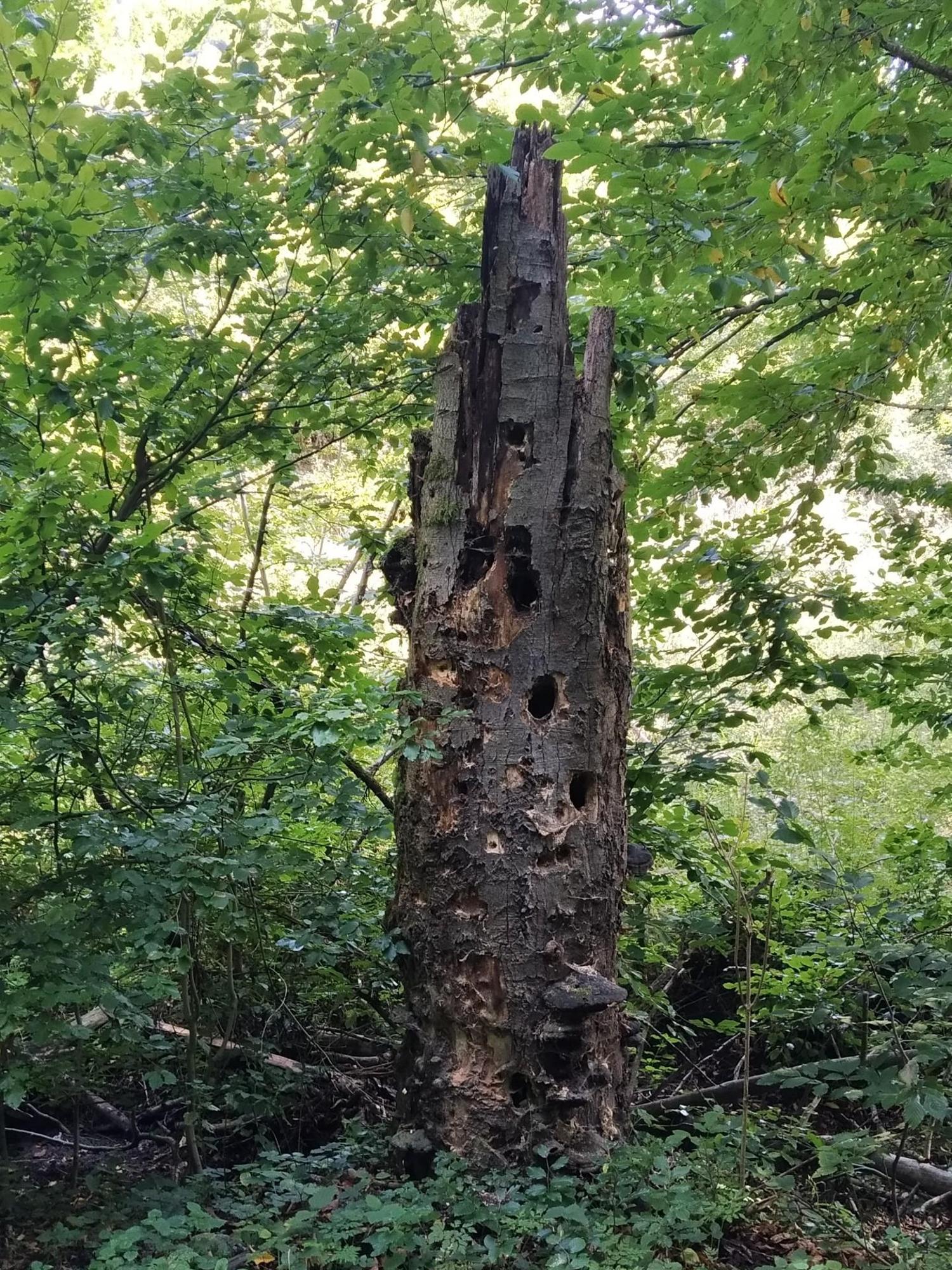 65198a450332d92f9449e890.jpg?width=2000&