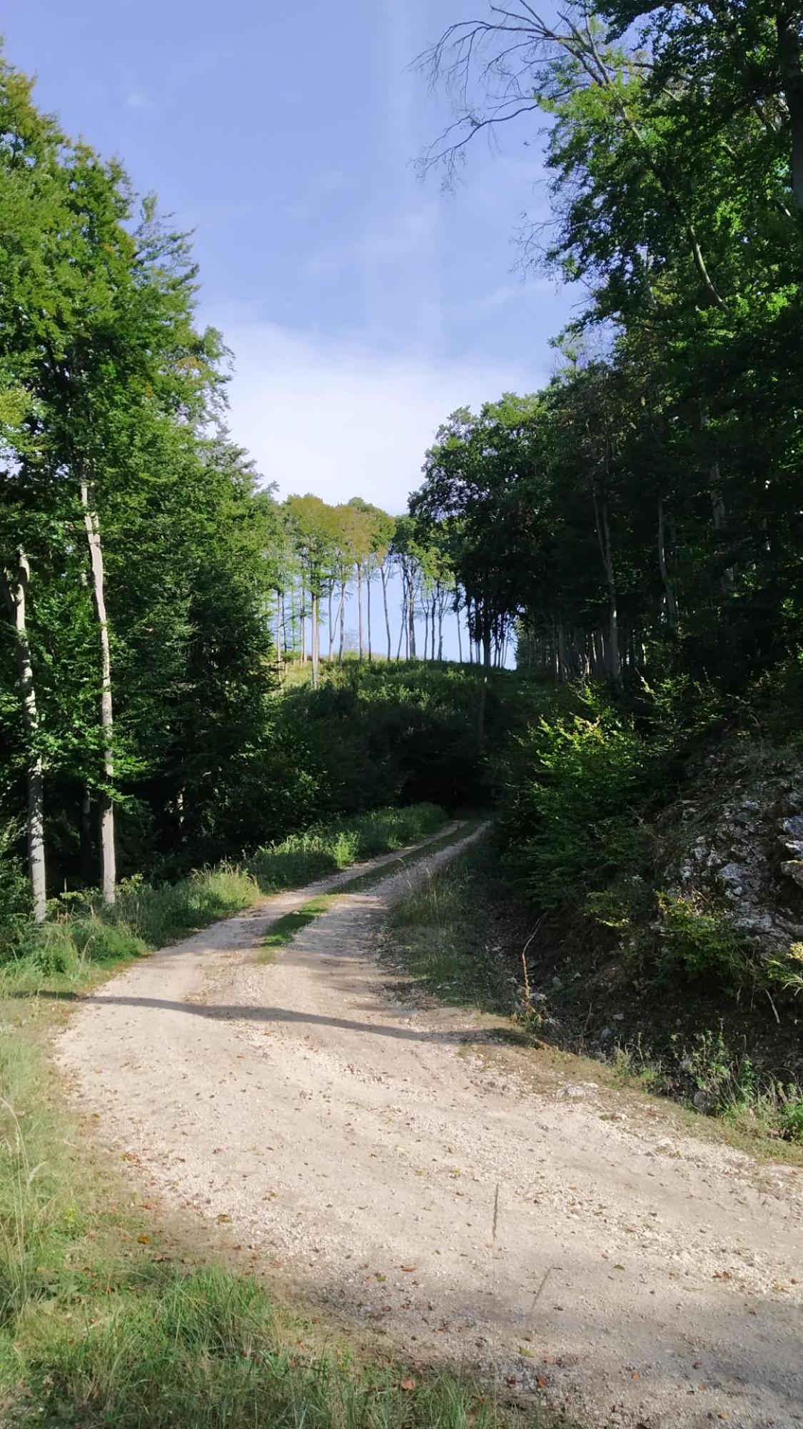 65198a50de9f8349b921eac3.jpg?width=2000&