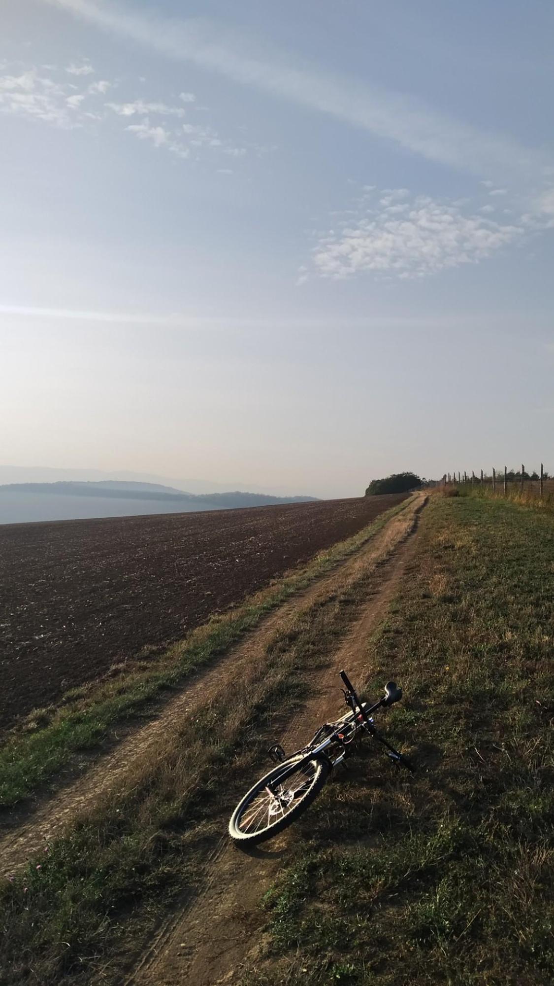 65296e256c329a50c68f4803.jpg?width=2000&