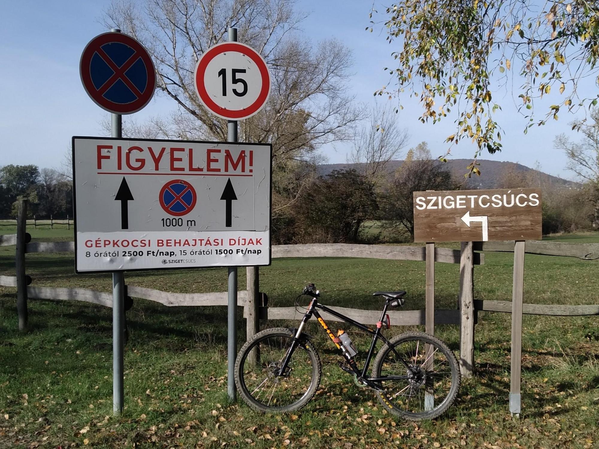 653ea5b9db928d654bf66cc1.jpg?width=2000&