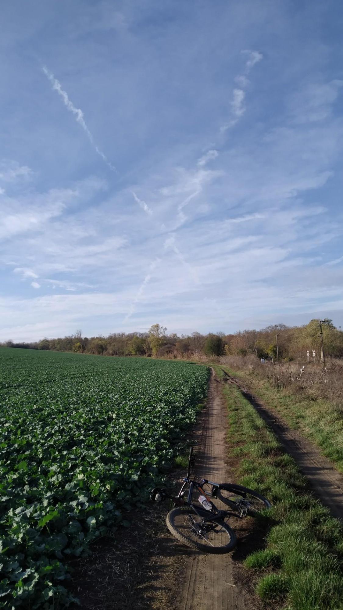 6543bbdb6b2dfd080335e51d.jpg?width=2000&