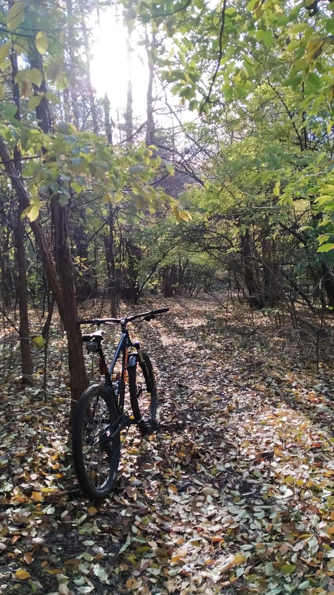 65632b976d75334de0a49b9a.jpg?width=2000&