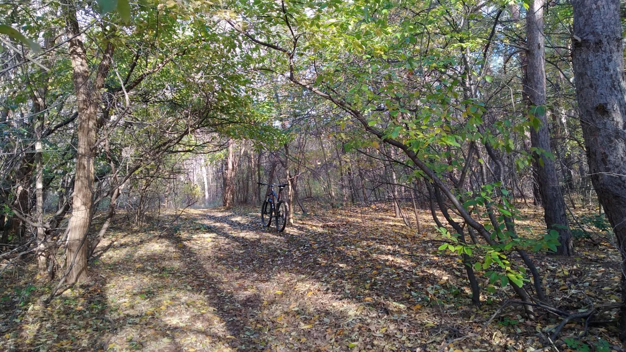 65632b9f51a2747b5005b61c.jpg?width=2000&